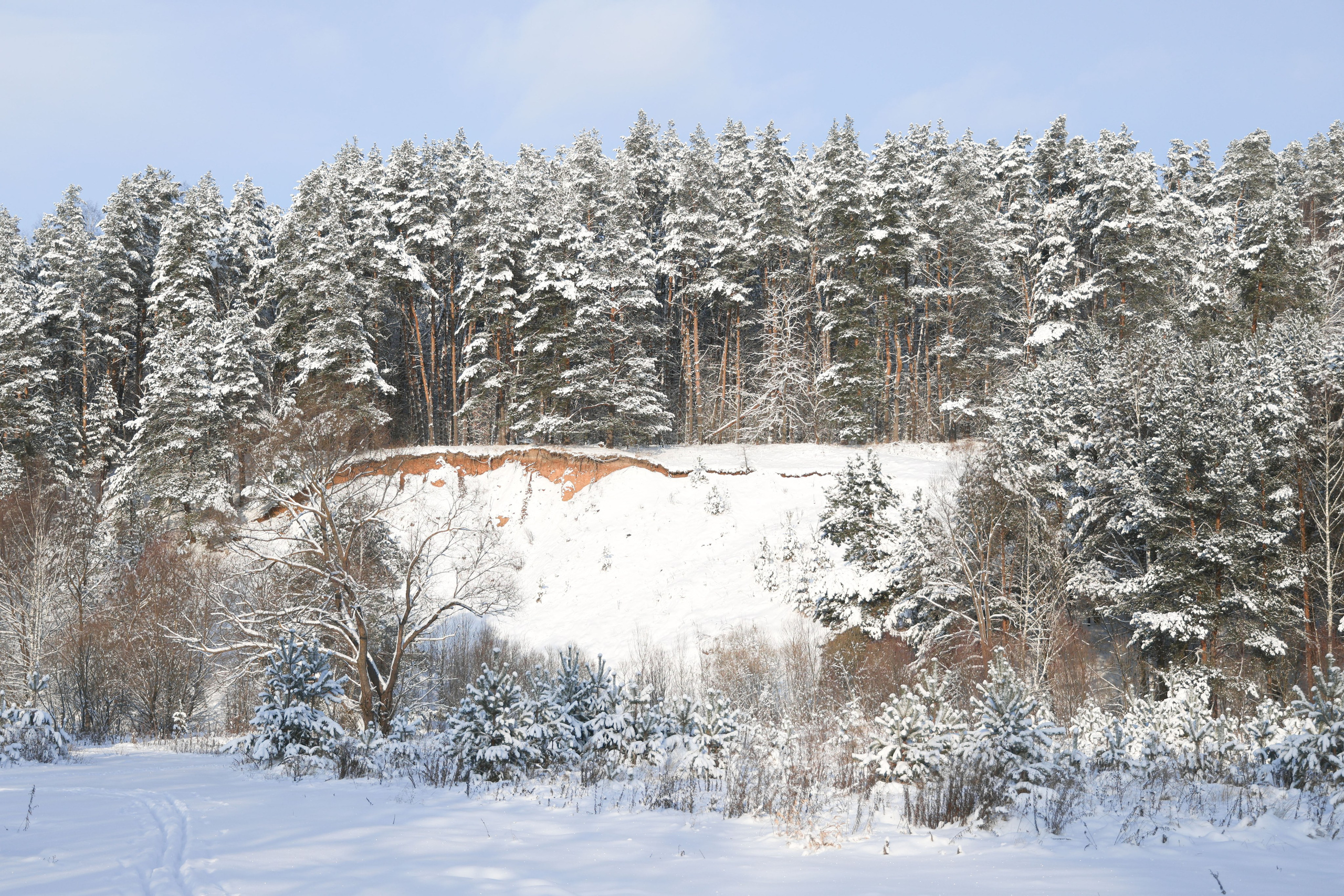 Рождествено Зима 2026. Фотограф Максим Татаринов
