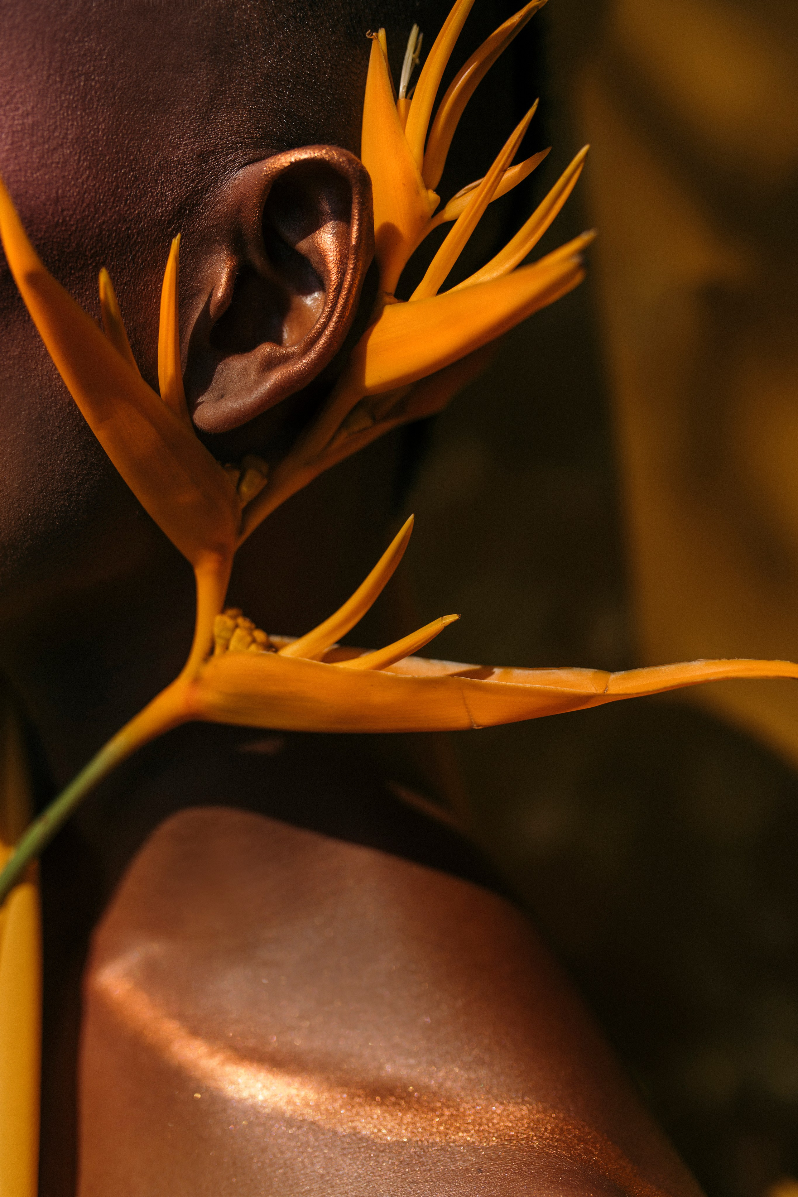 Саша Фирс фотограф Вьетнам Фукуок Дананг|Ташкент