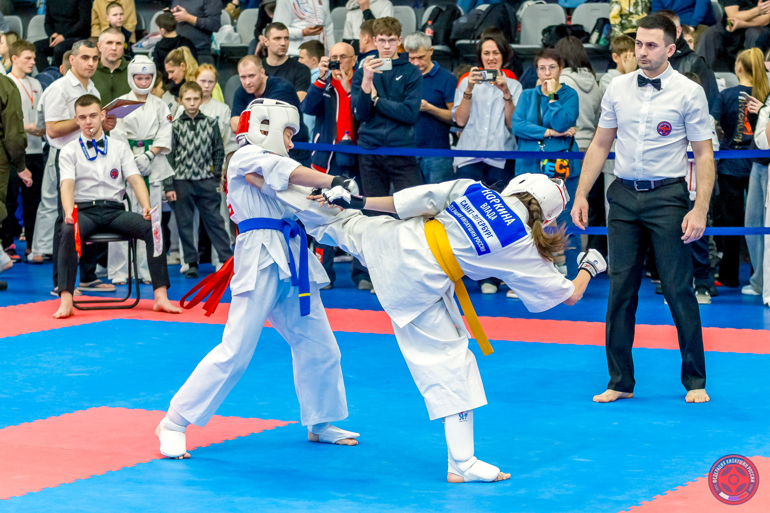 Международный турнир по киокушин «Открытый кубок Seiken». Репортажная съемка в Москве и области. Анималистика