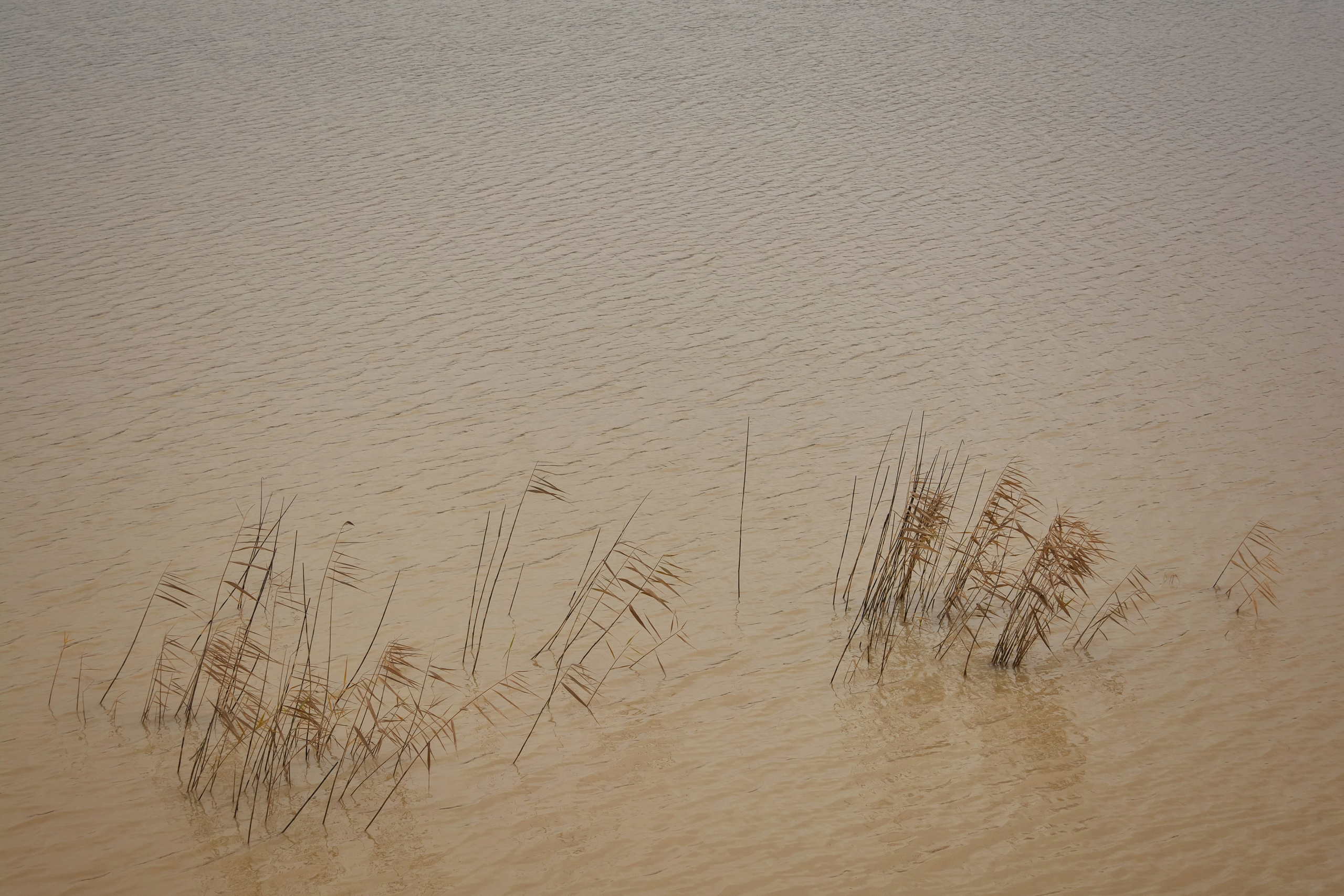 Пейзажи и дикая природа. Пейзажный и репортажный фотограф