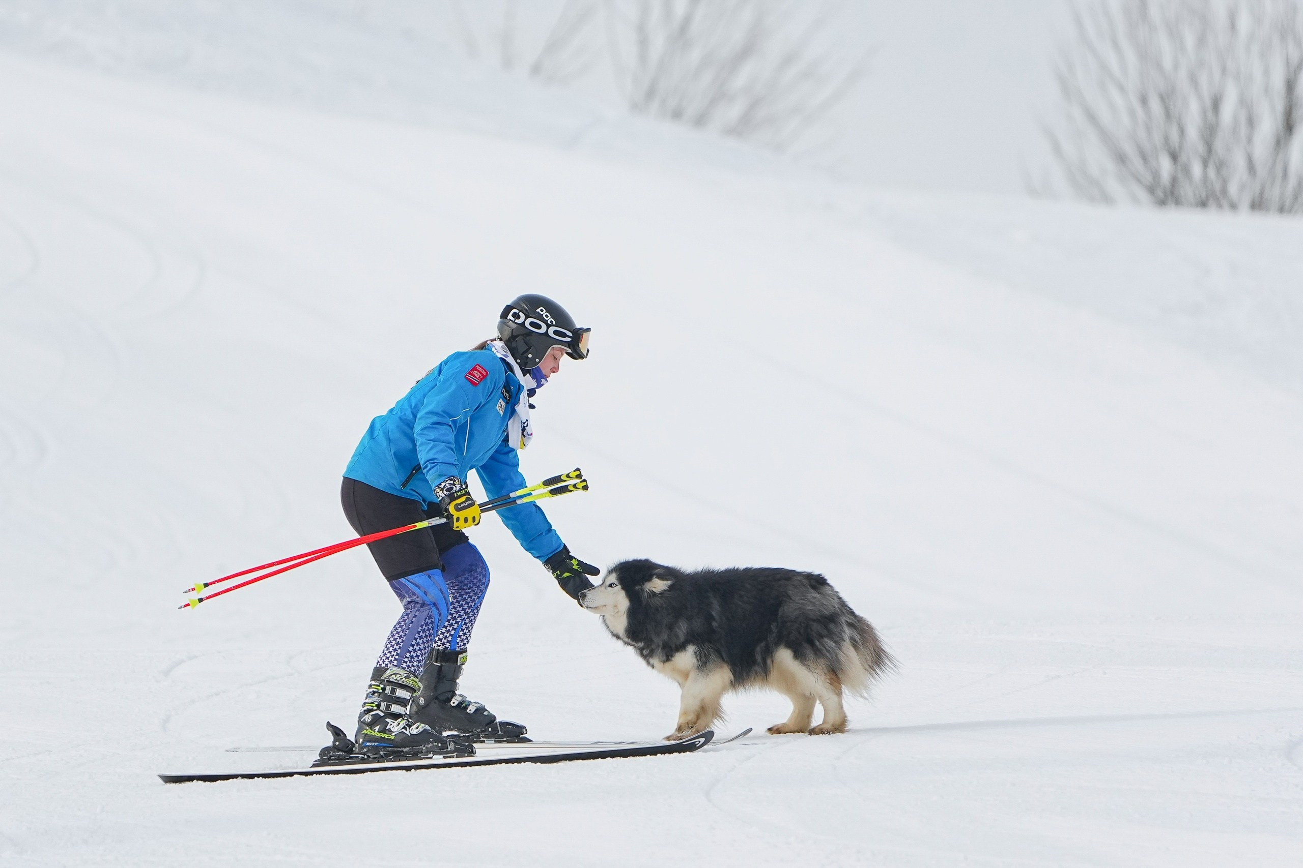 Шуколово. Приз Губернатора МО, GS, 2024. Фотограф Студитский Евгений