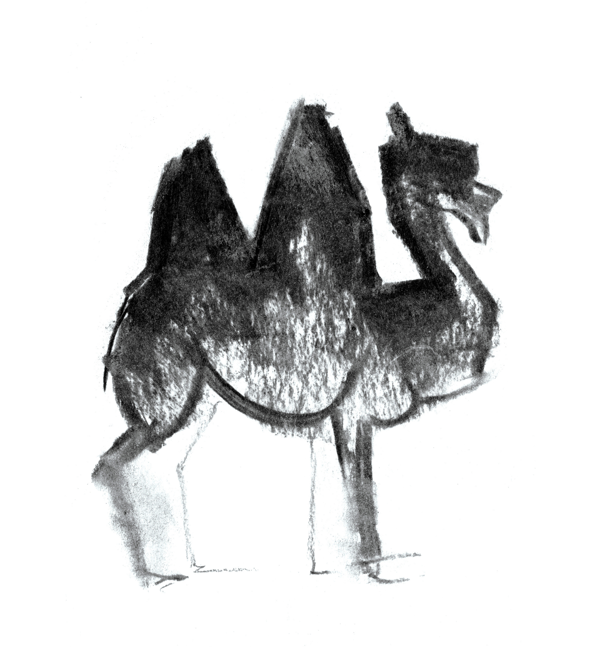 Анималистические иллюстрации