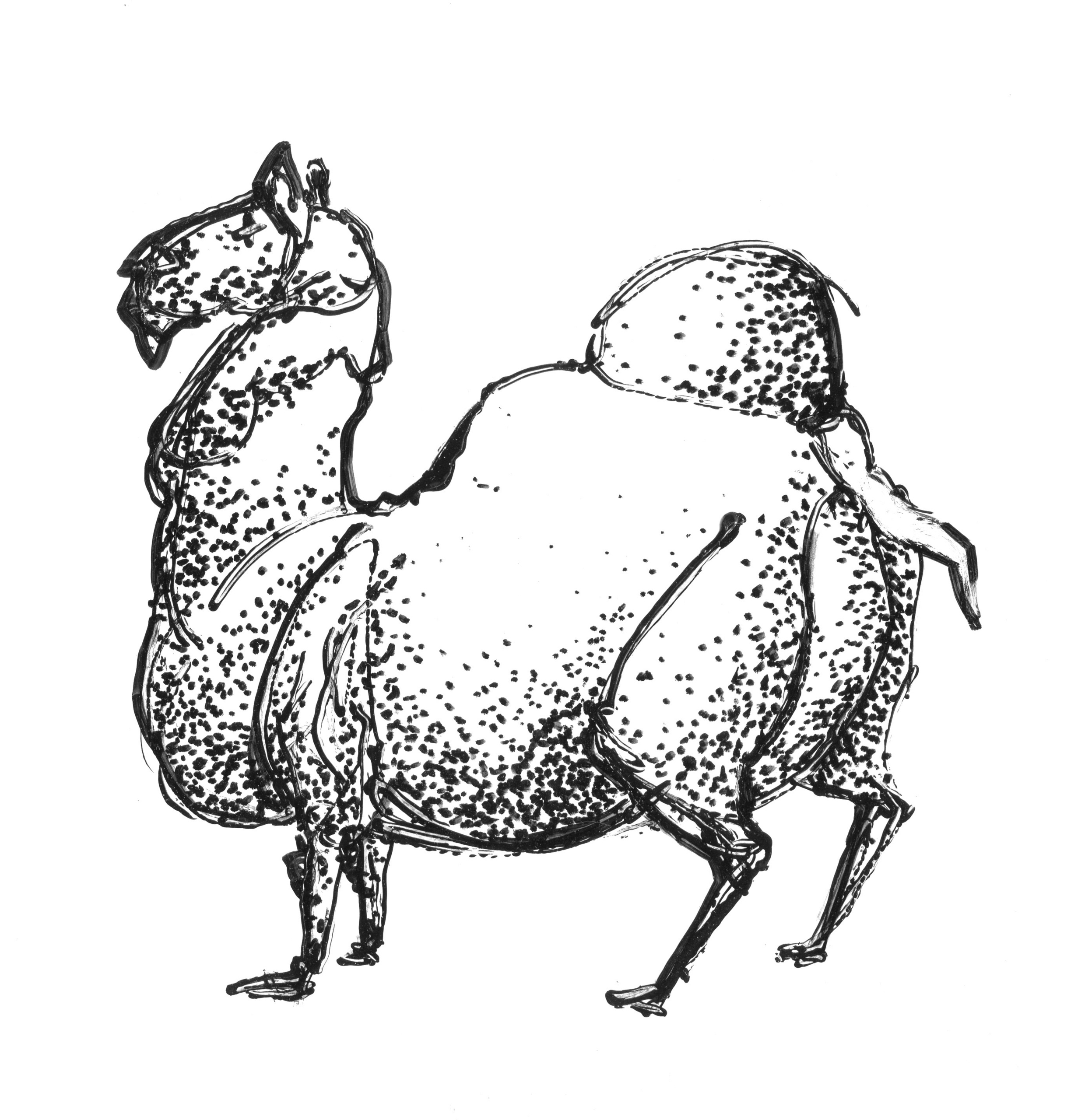 Анималистические иллюстрации