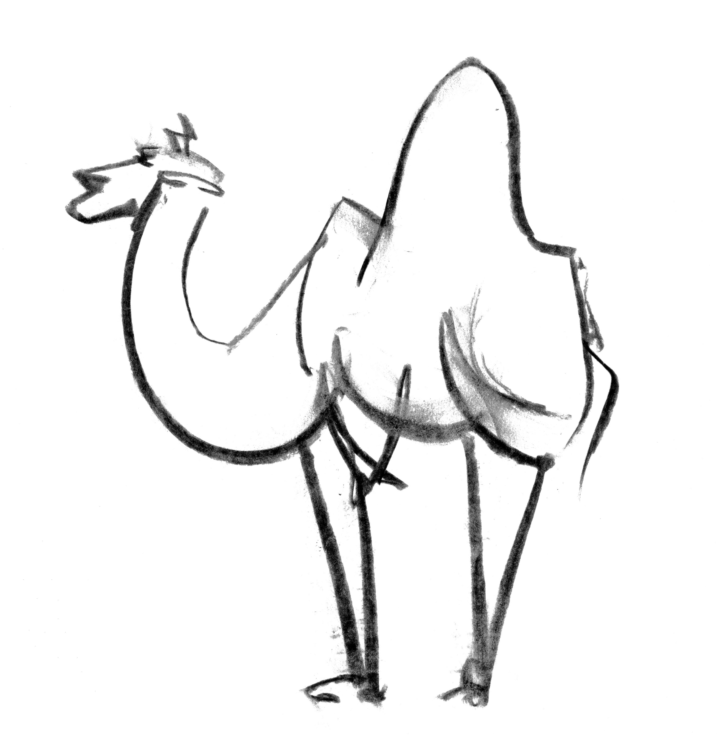 Анималистические иллюстрации