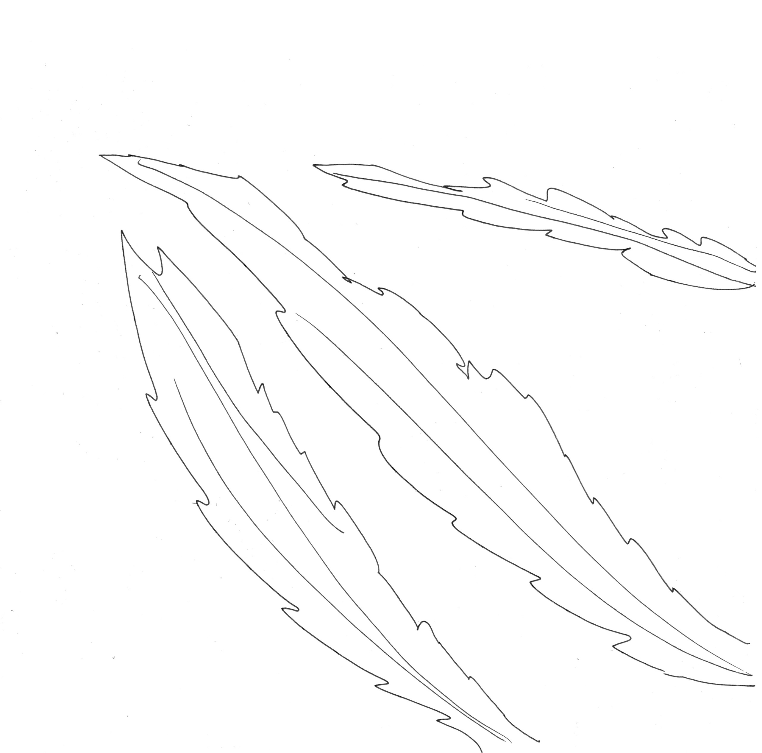 Растительные иллюстрации