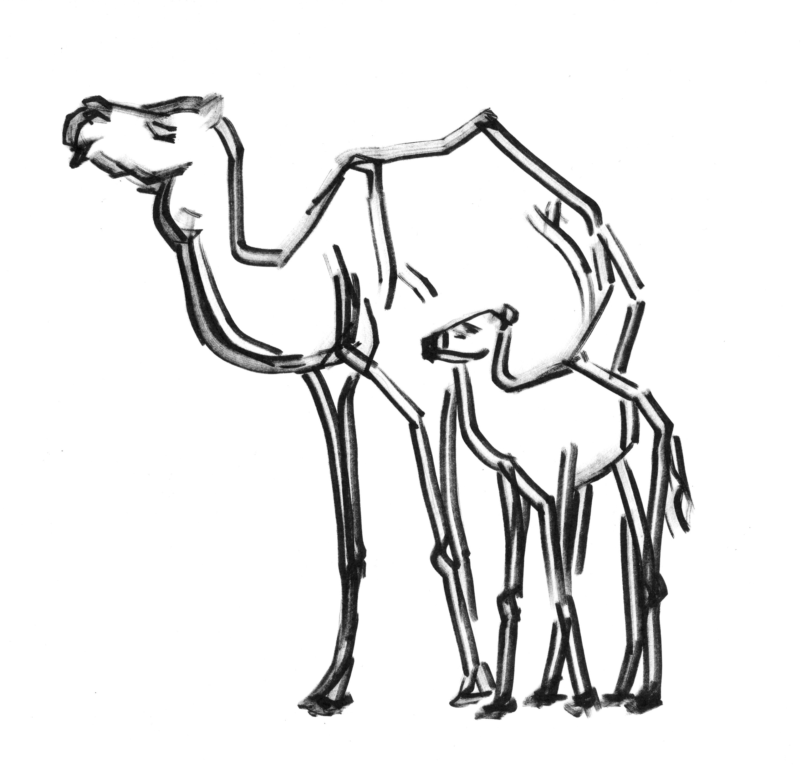 Анималистические иллюстрации