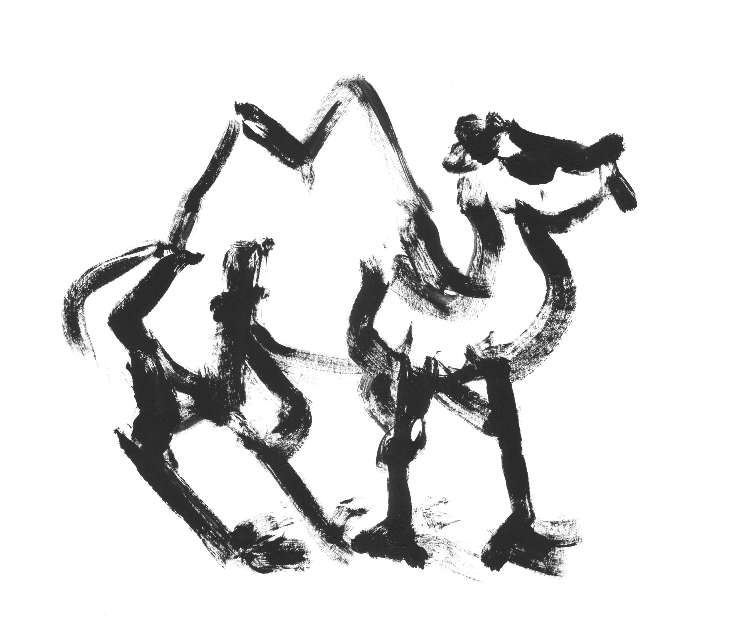 Анималистические иллюстрации