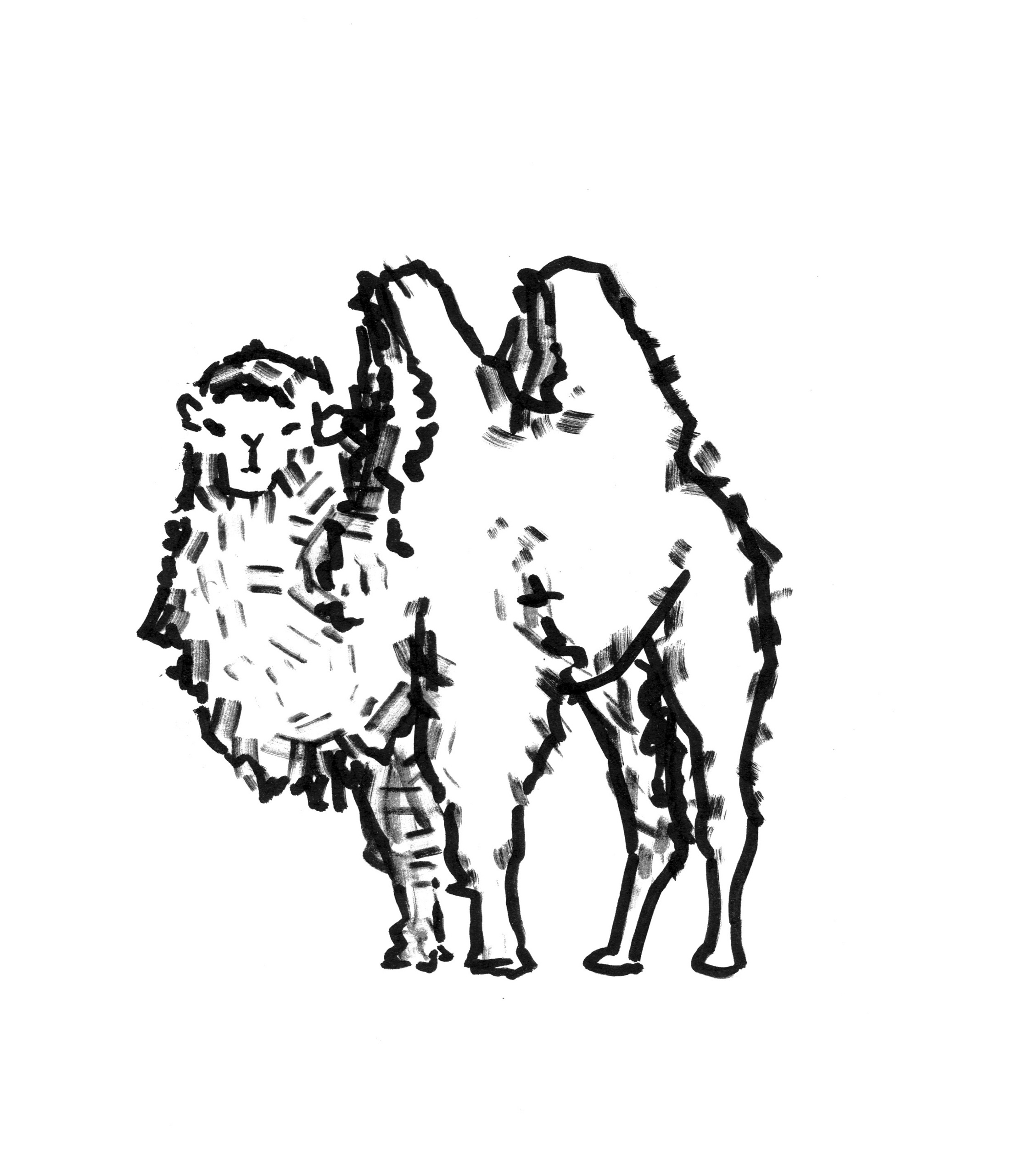 Анималистические иллюстрации