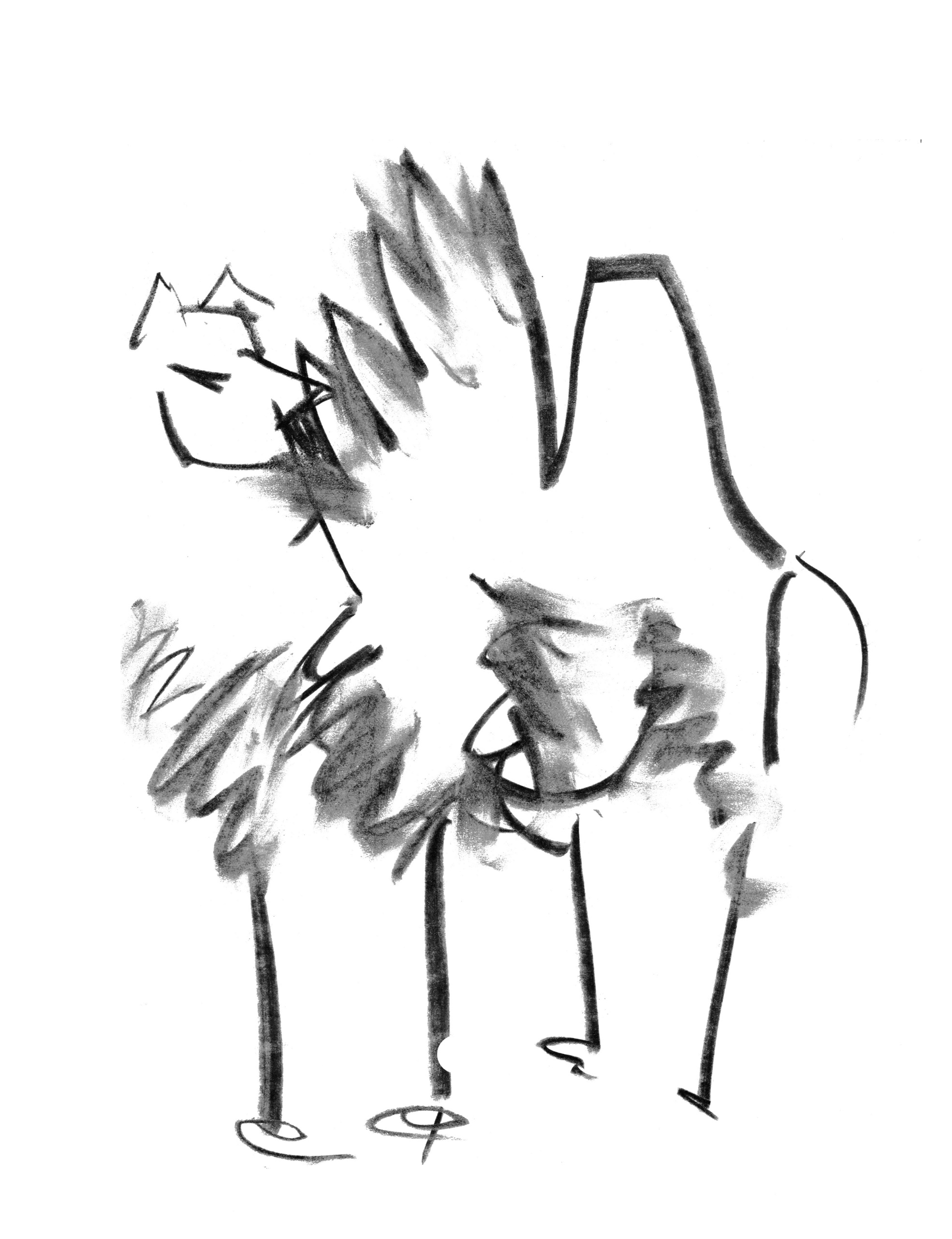 Анималистические иллюстрации