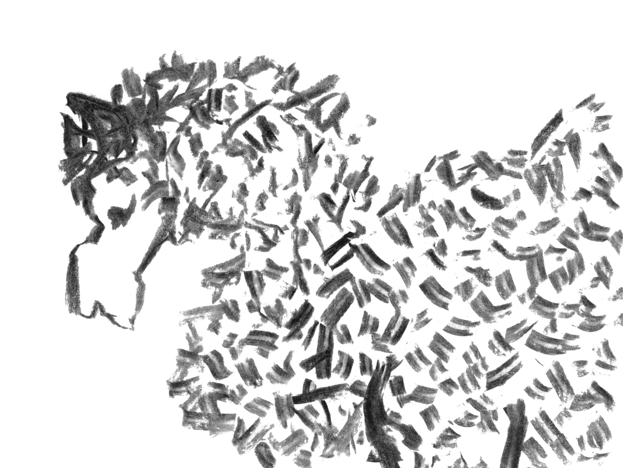 Анималистические иллюстрации