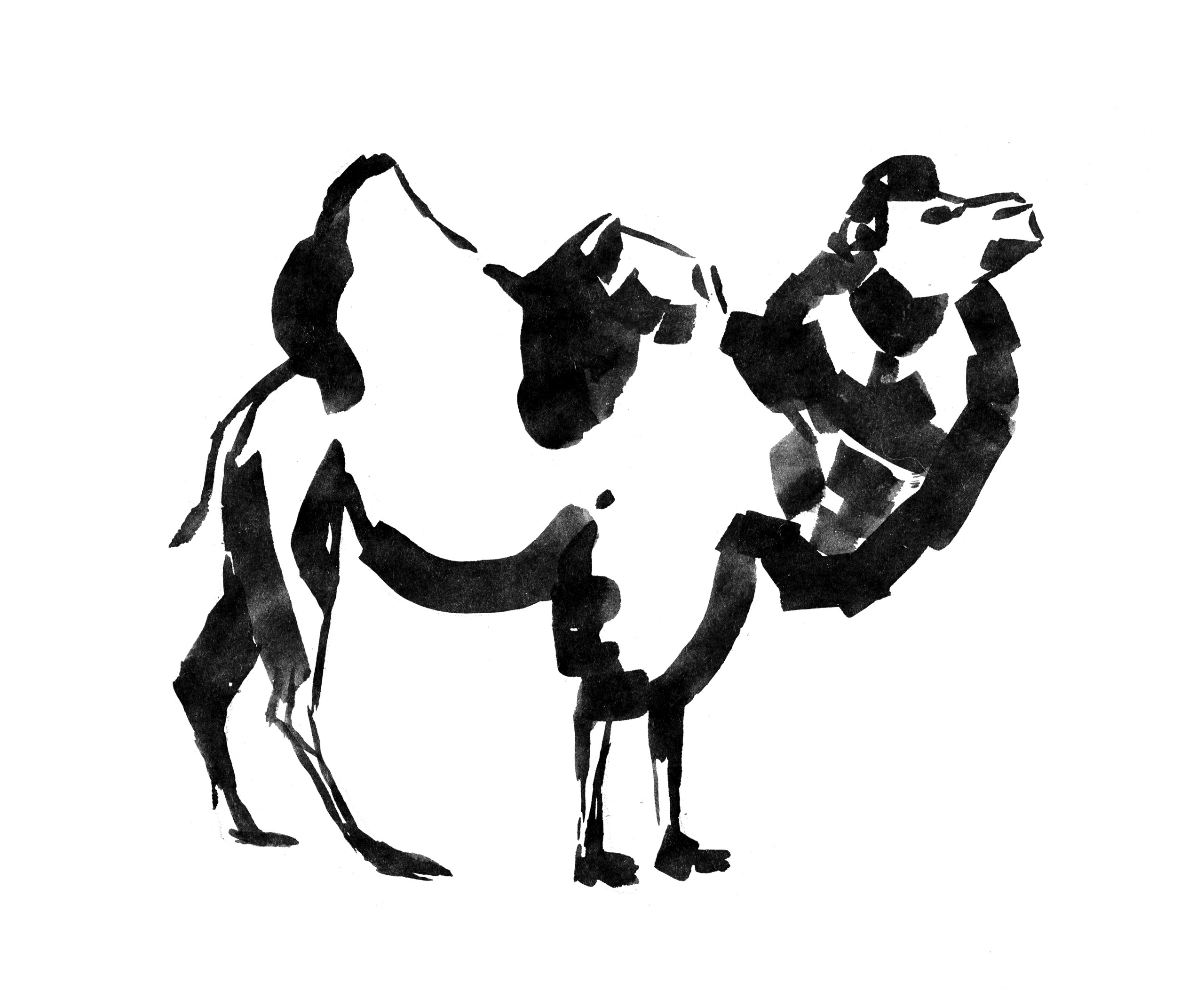 Анималистические иллюстрации