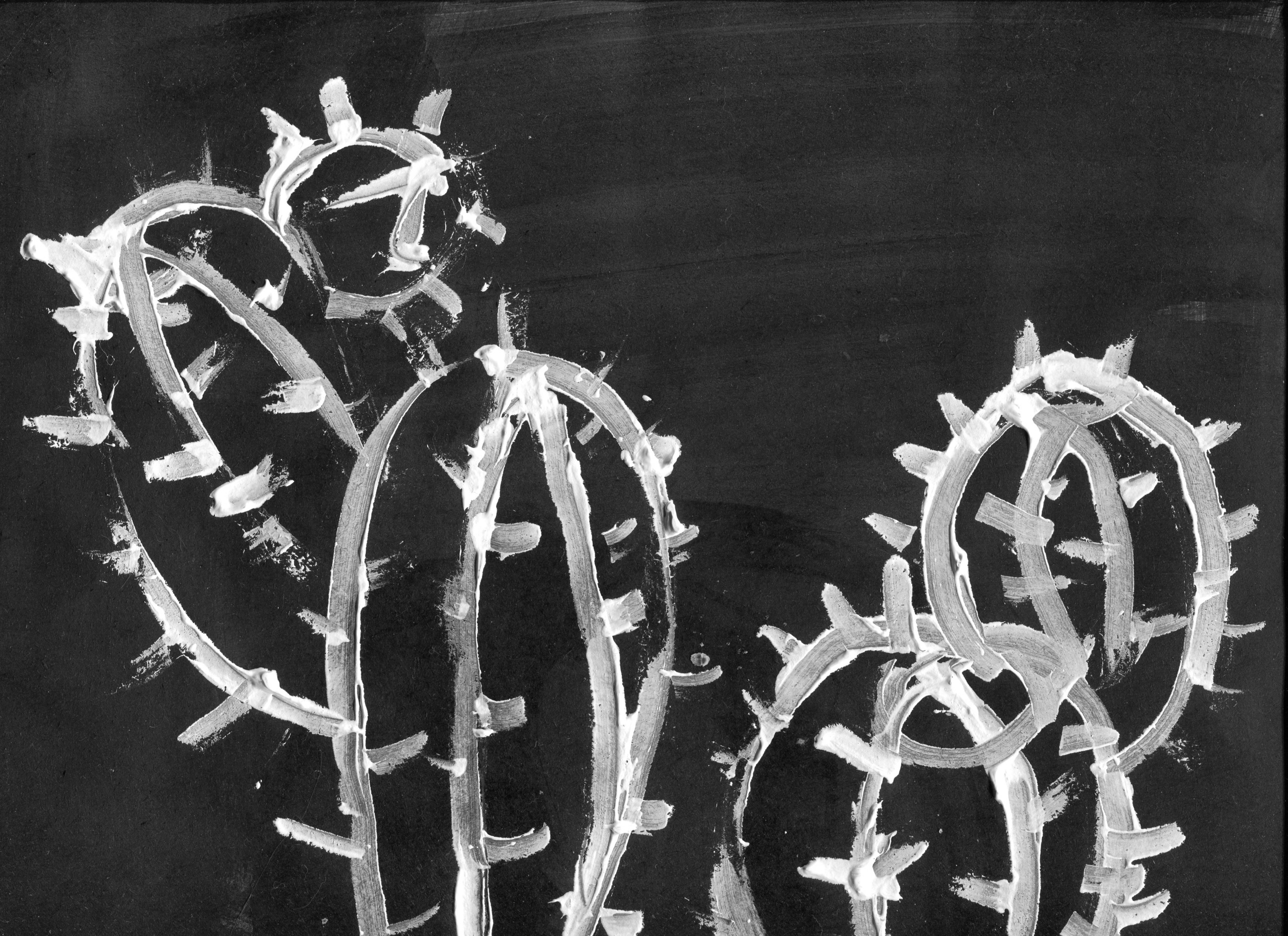 Растительные иллюстрации