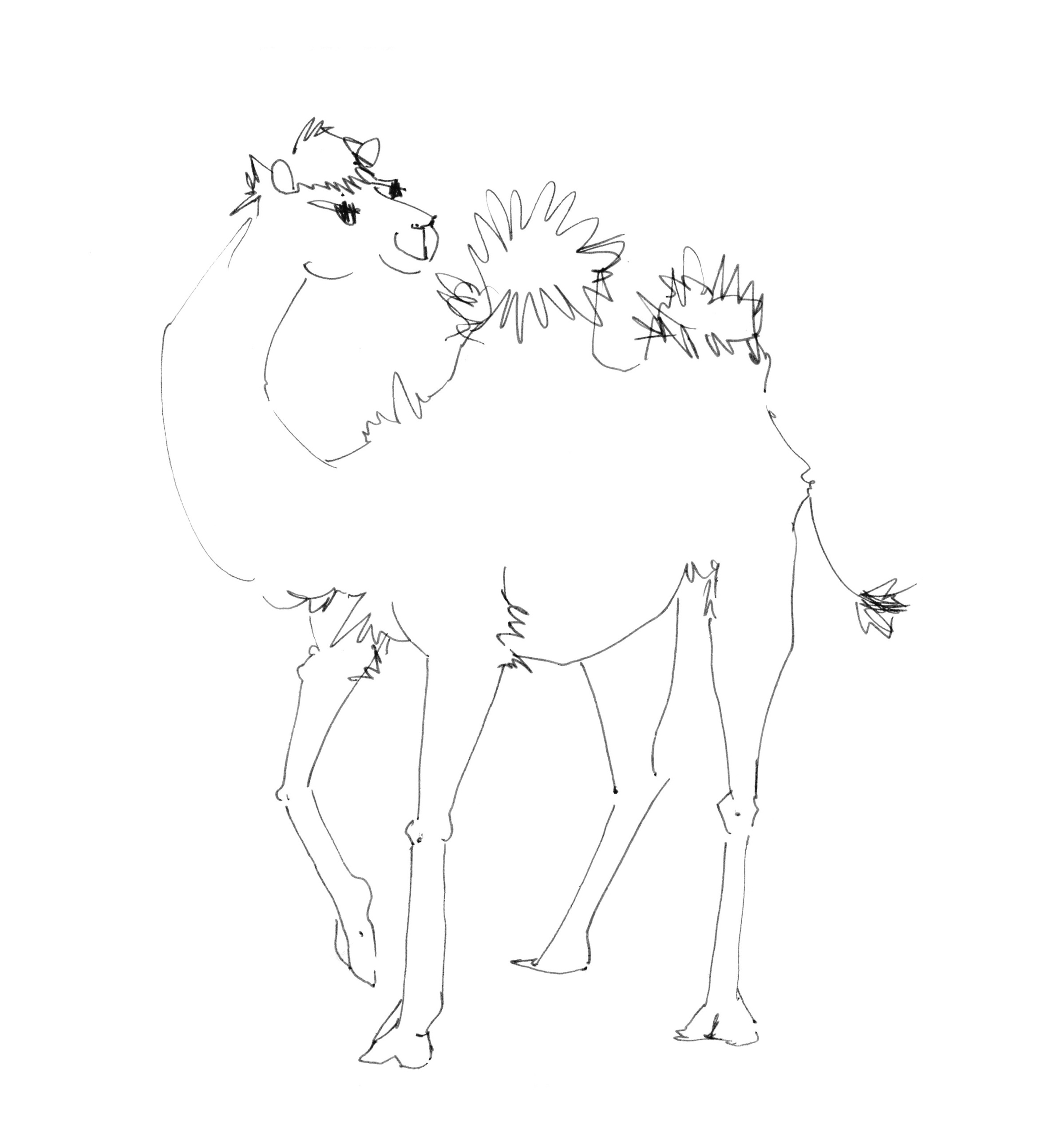 Анималистические иллюстрации