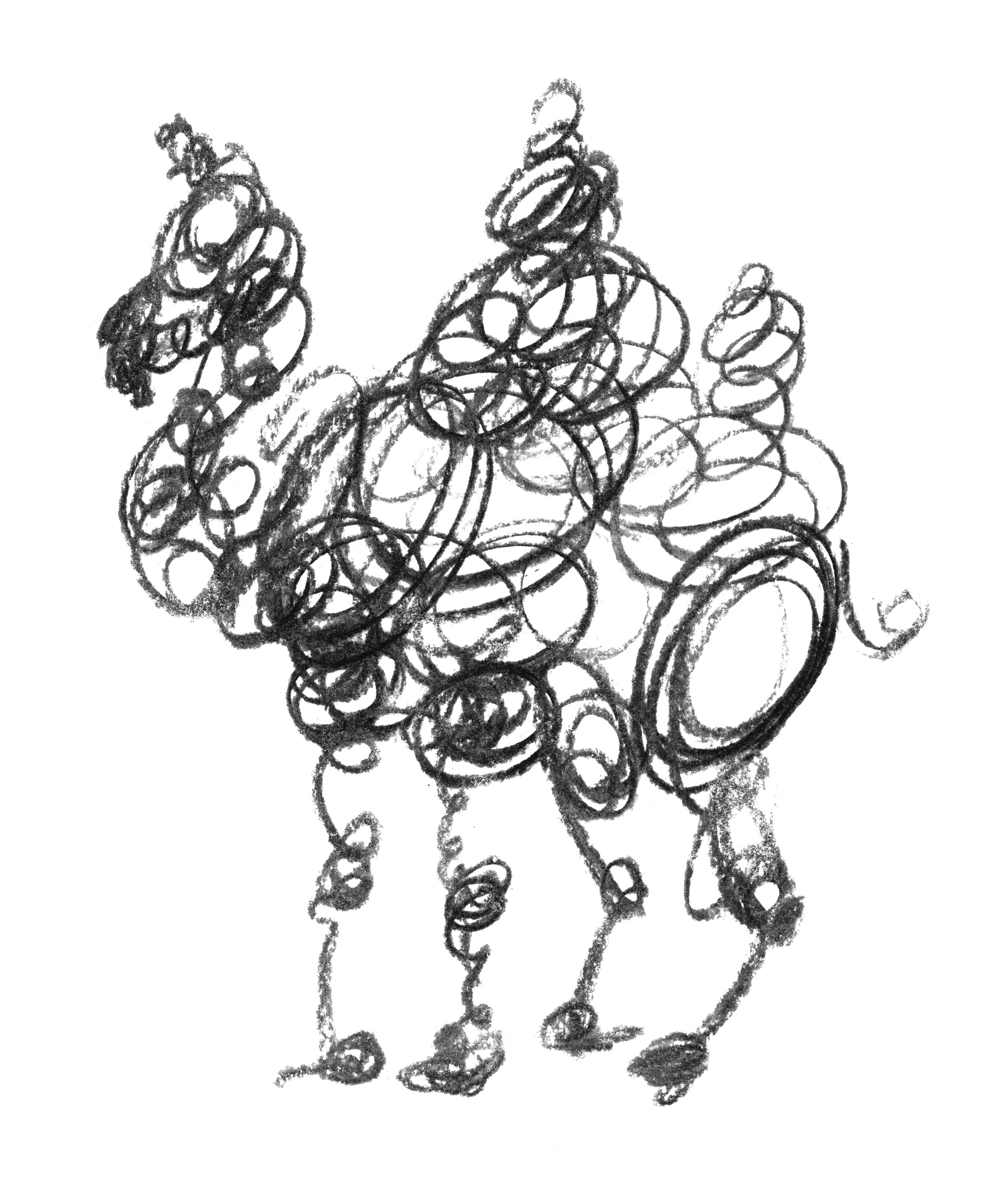 Анималистические иллюстрации