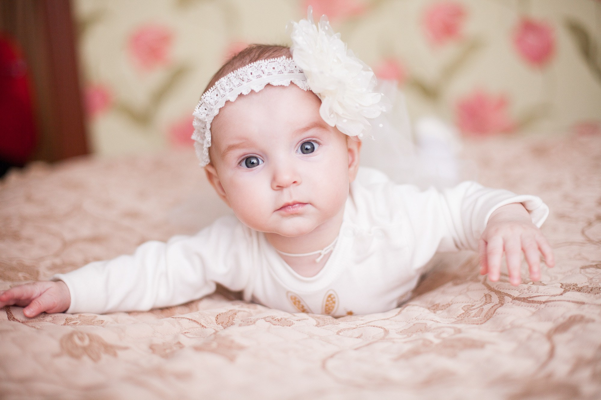 Семейные. Фотоателье и полиграфия | Красивые фотосессии, сувениры с фото | Ремонт смартфонов, ноутбуков и техники в Коломне Zinovyev Team