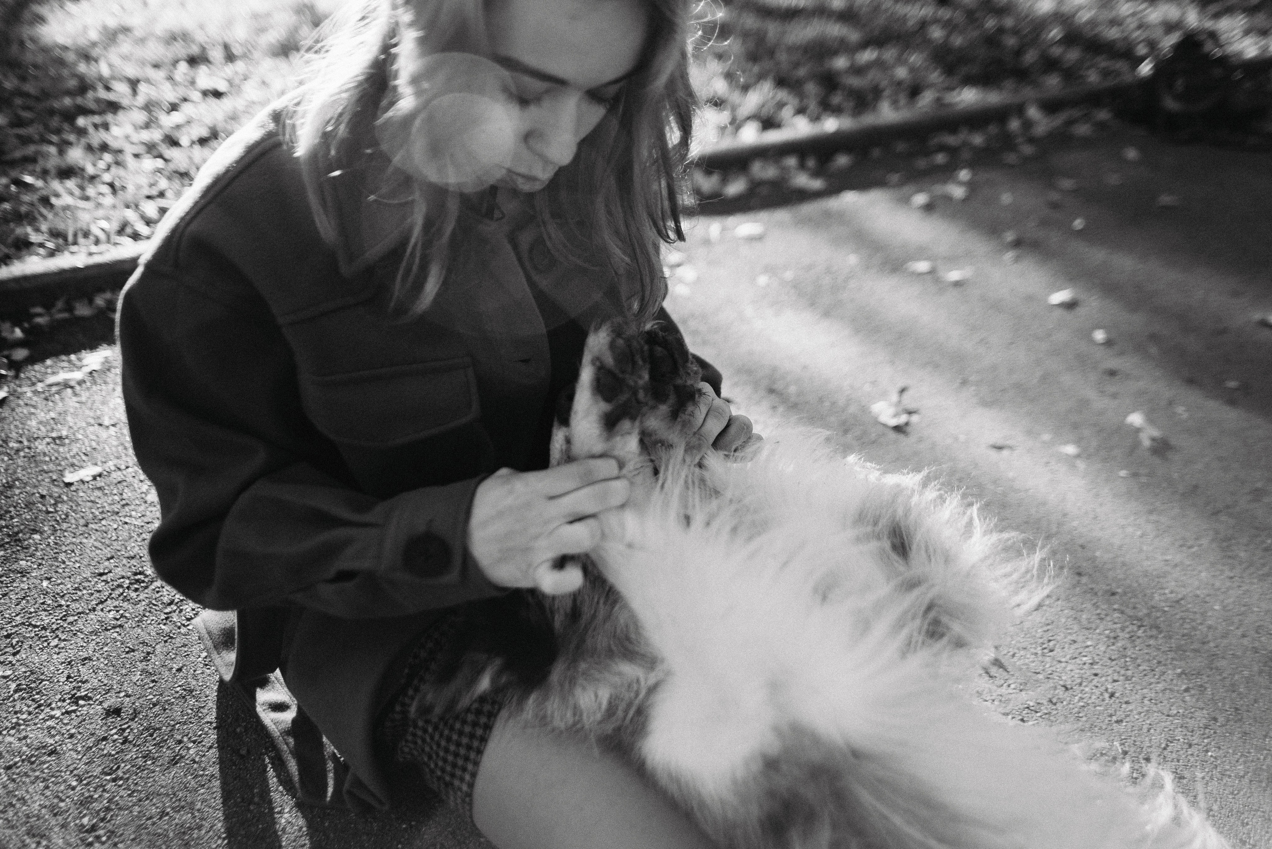 Диана и Робин. Фотограф-анималист Богданова Полина