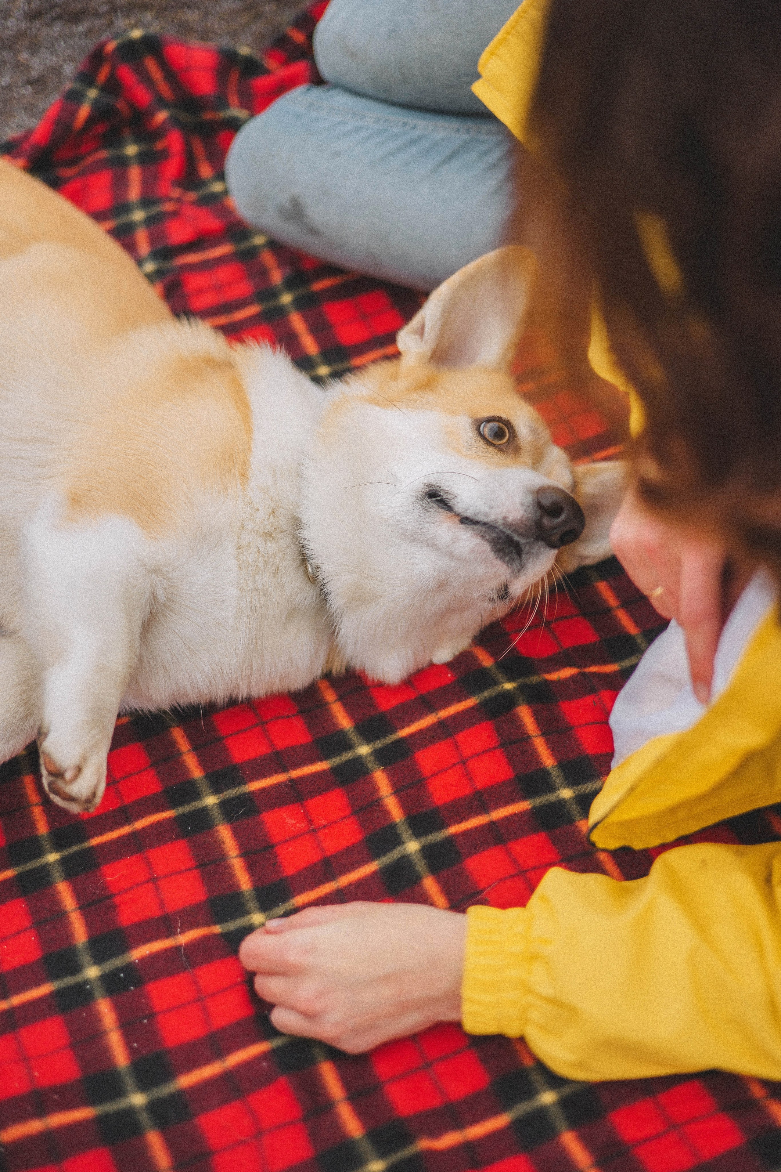 Юля и барри. Фотограф-анималист Богданова Полина