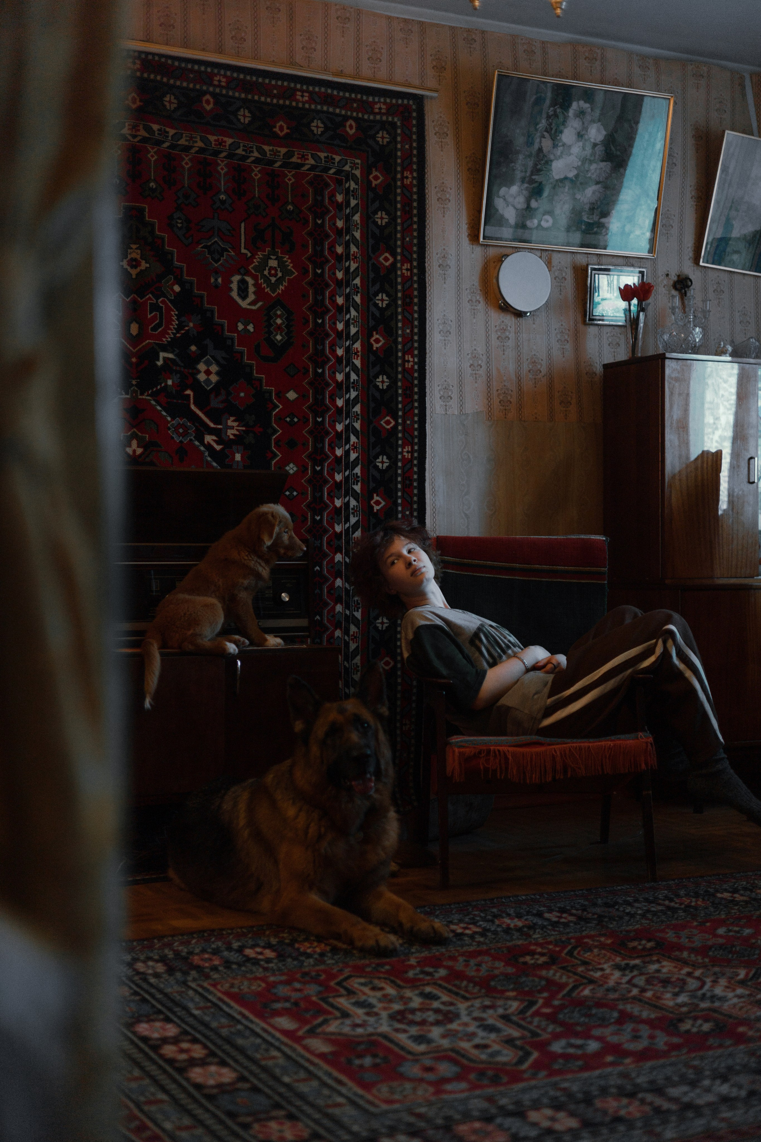 Лера, Реджи и Ральф. Фотограф-анималист Богданова Полина