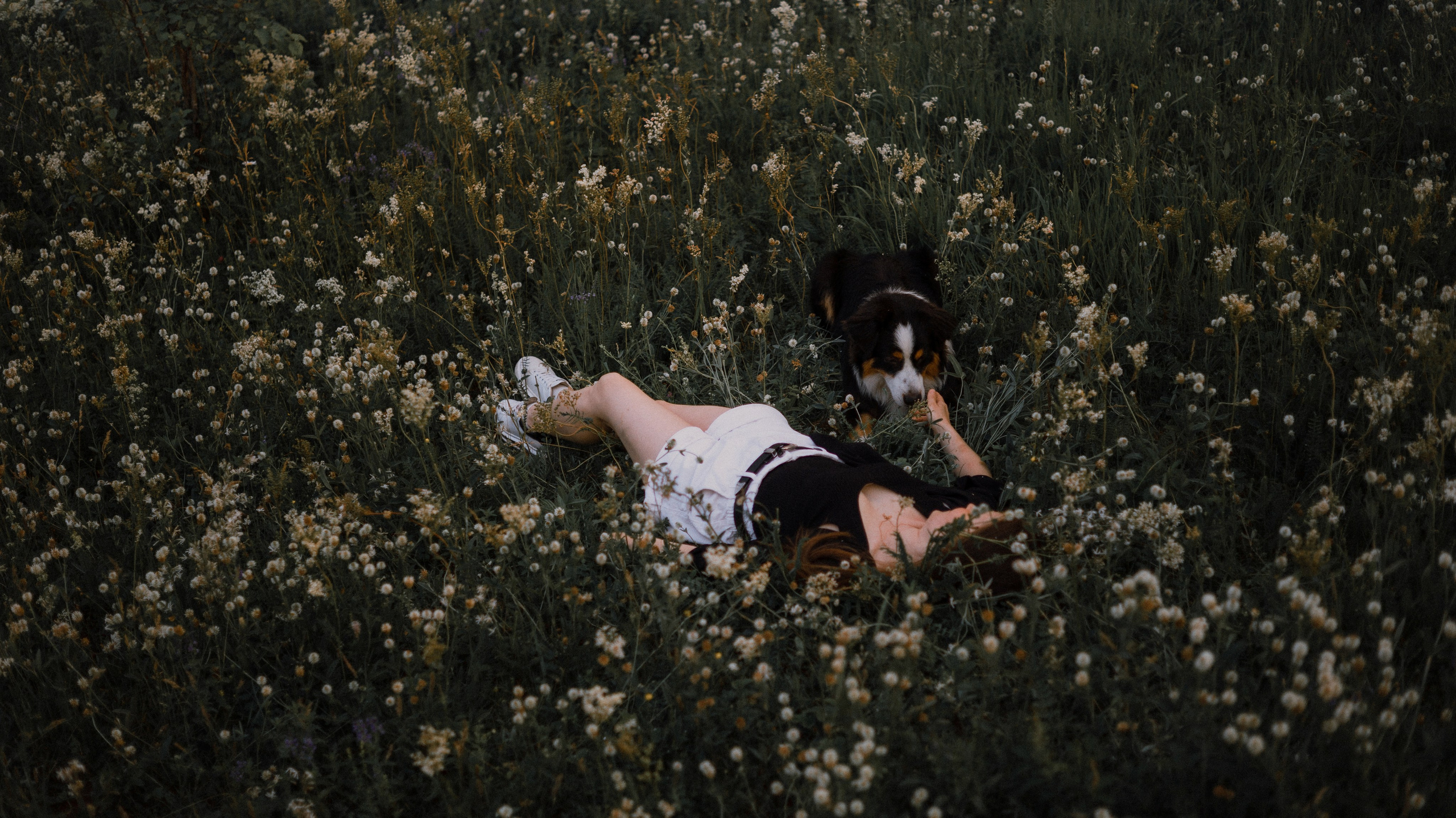 Яна и Уга. Фотограф-анималист Богданова Полина