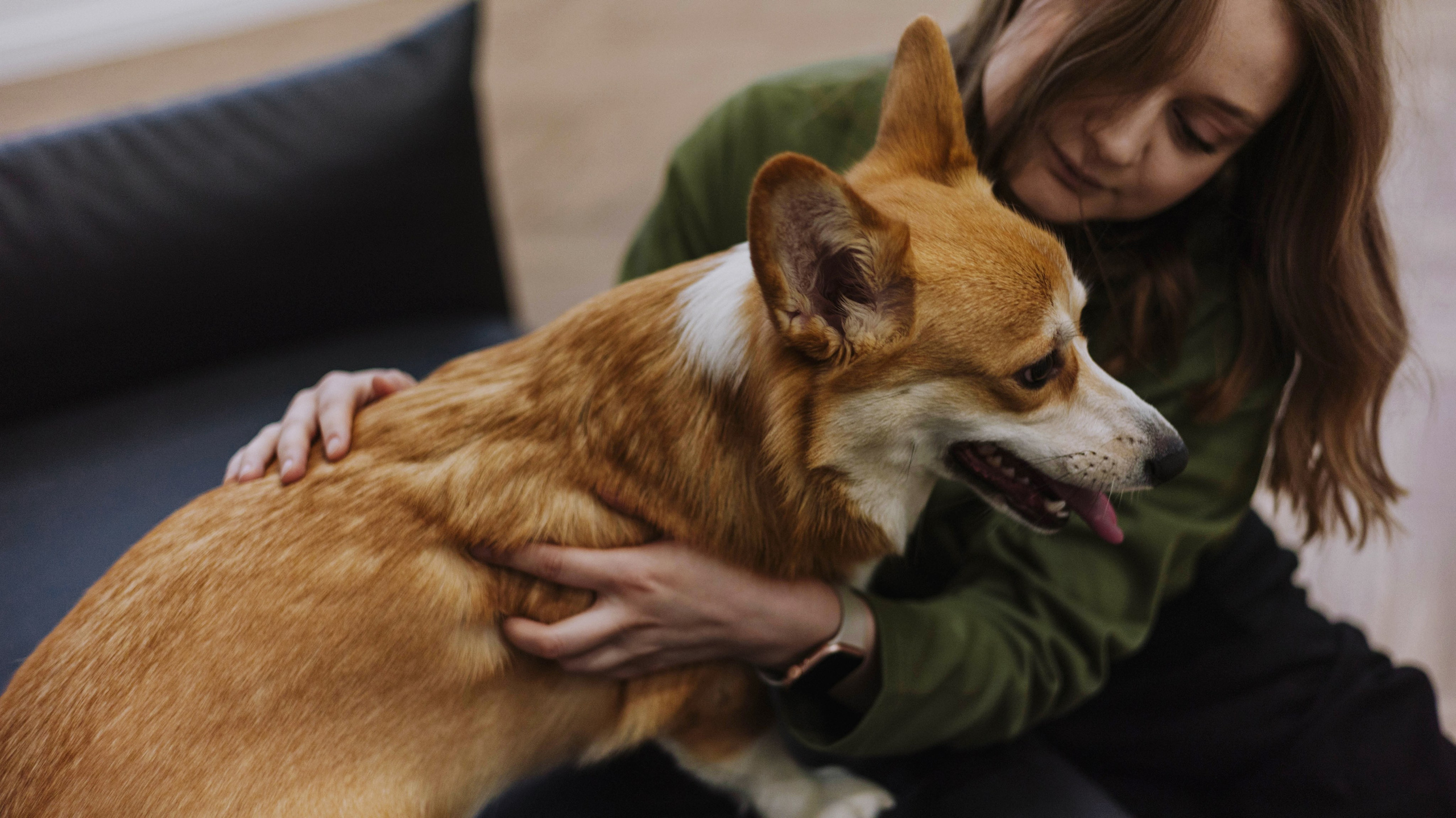 Настя и Мия. Фотограф-анималист Богданова Полина