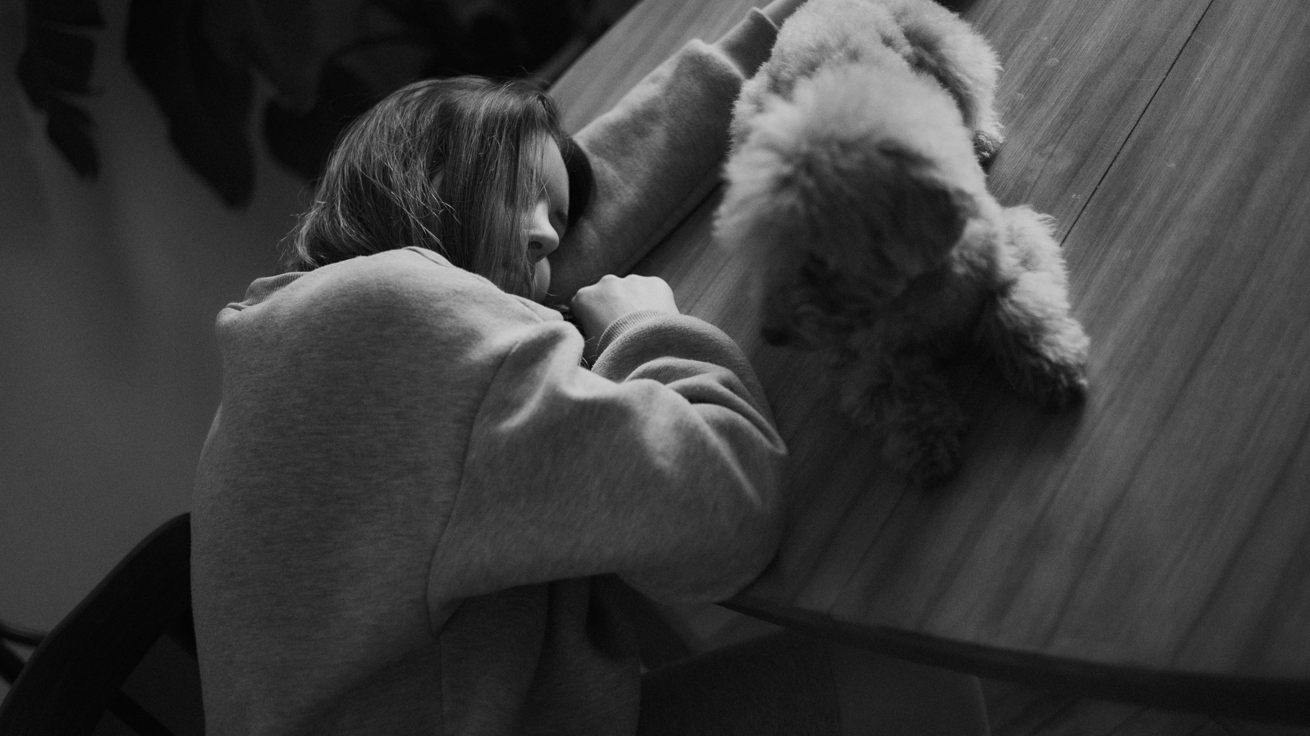 Маша, Одди и Нэвил. Фотограф-анималист Богданова Полина