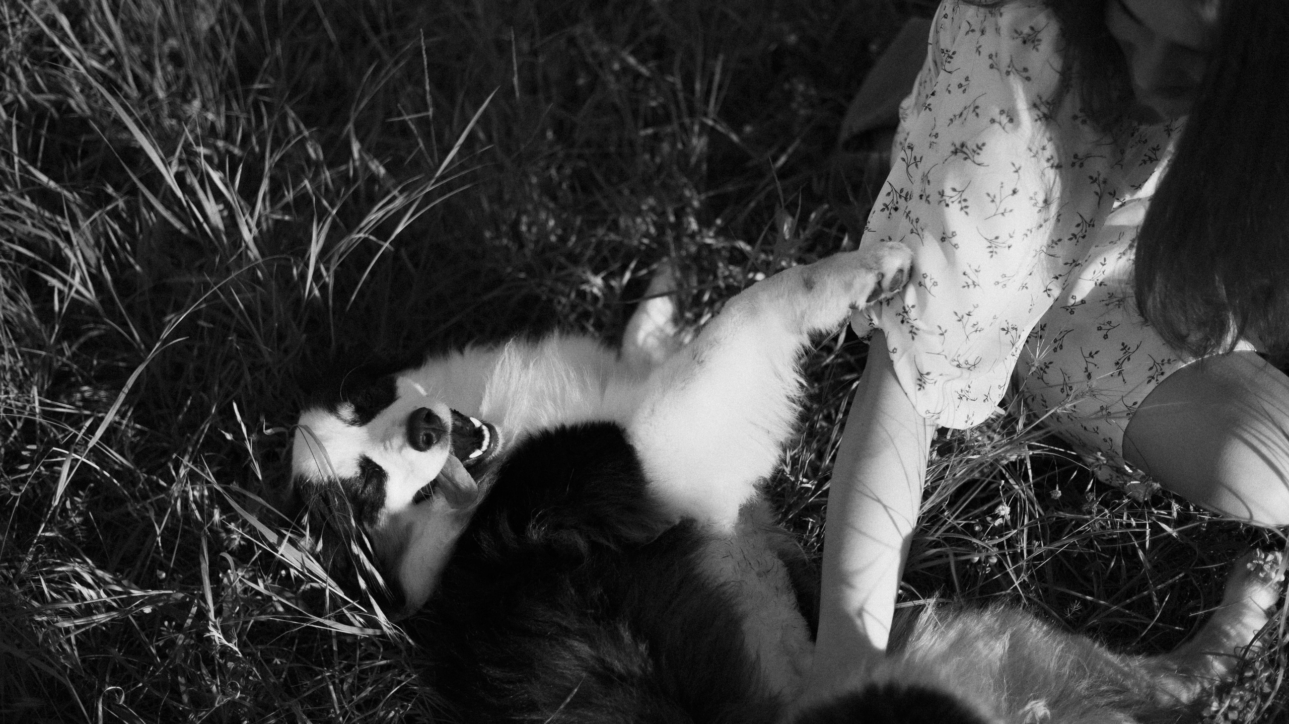 Ира и Джесс. Фотограф-анималист Богданова Полина