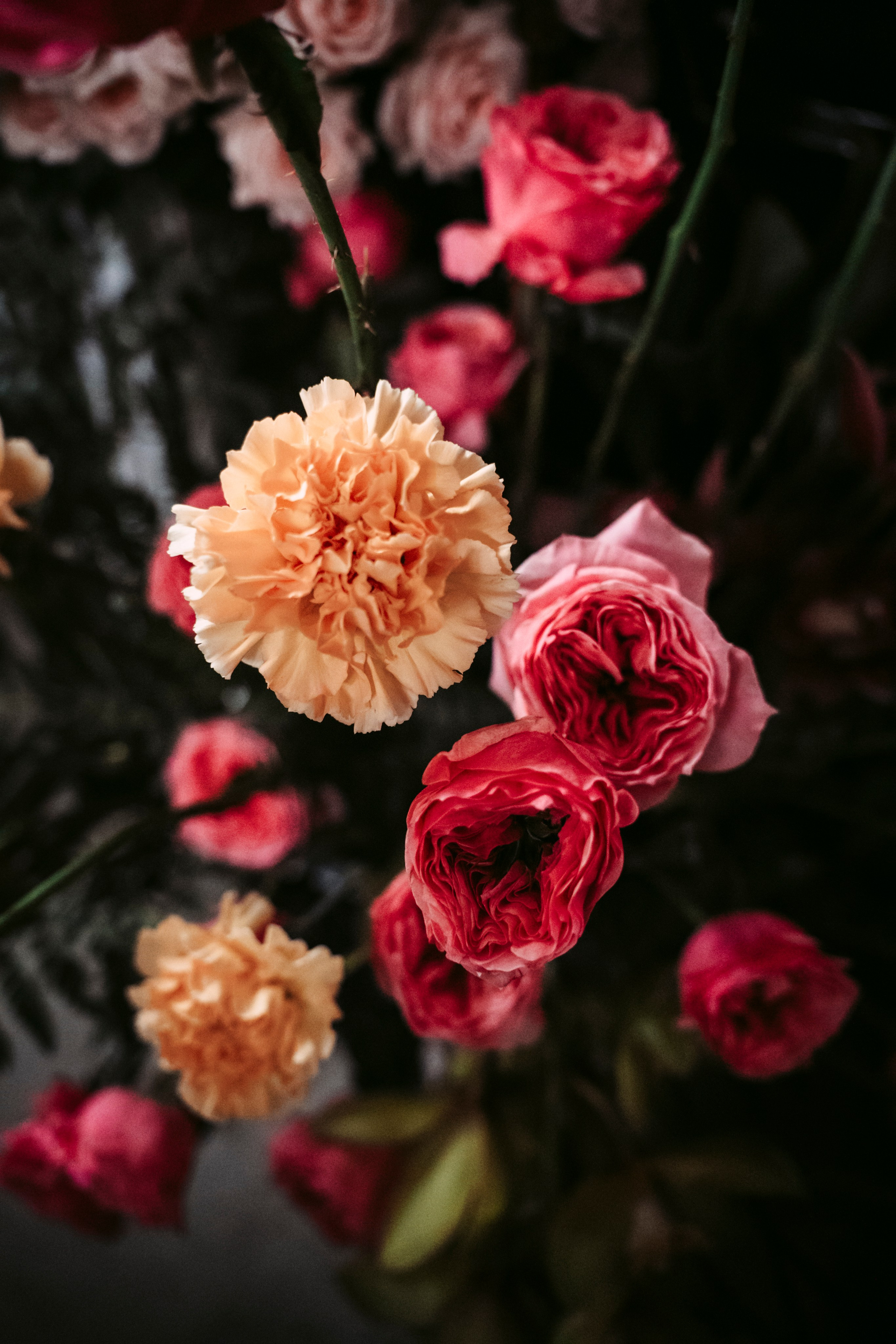 Цветочный андеграунд. Главная