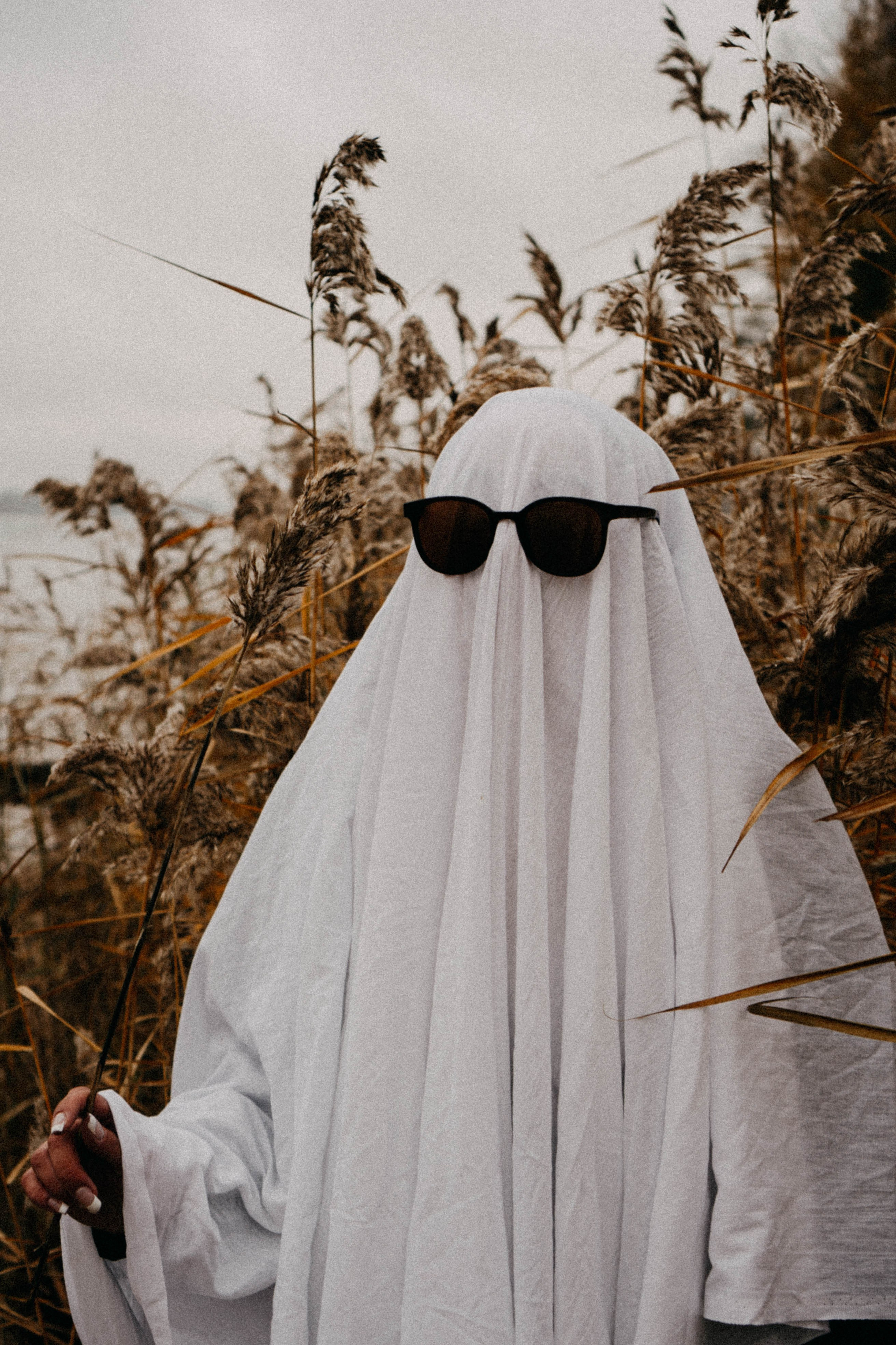 Осеняя. Профессиональный фотограф, Санкт-Петербург — Виктория Богомолова