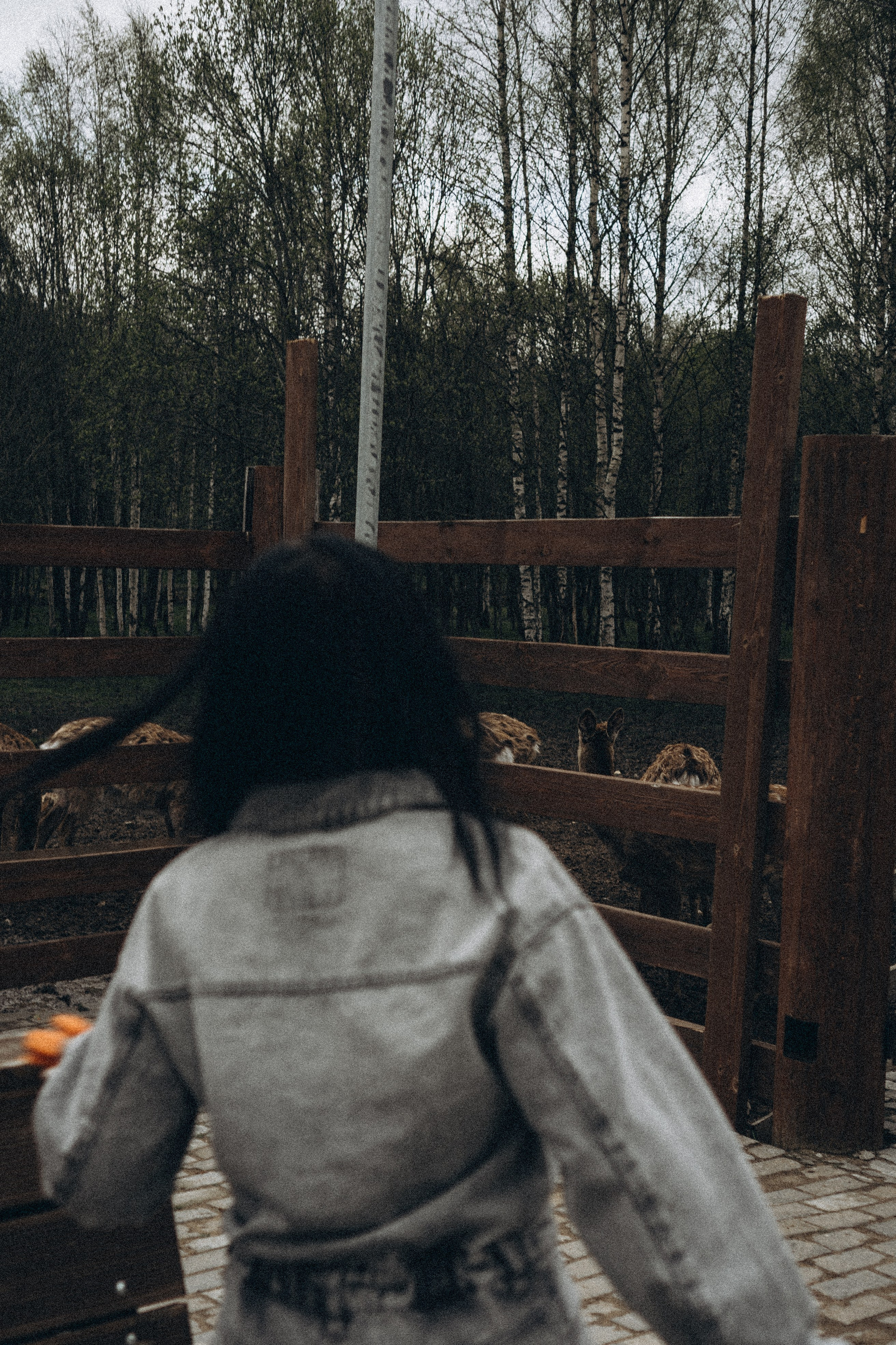ОЛЕНЬЯ ФЕРМА В ТВЕРИ. Профессиональный фотограф, Санкт-Петербург — Виктория Богомолова