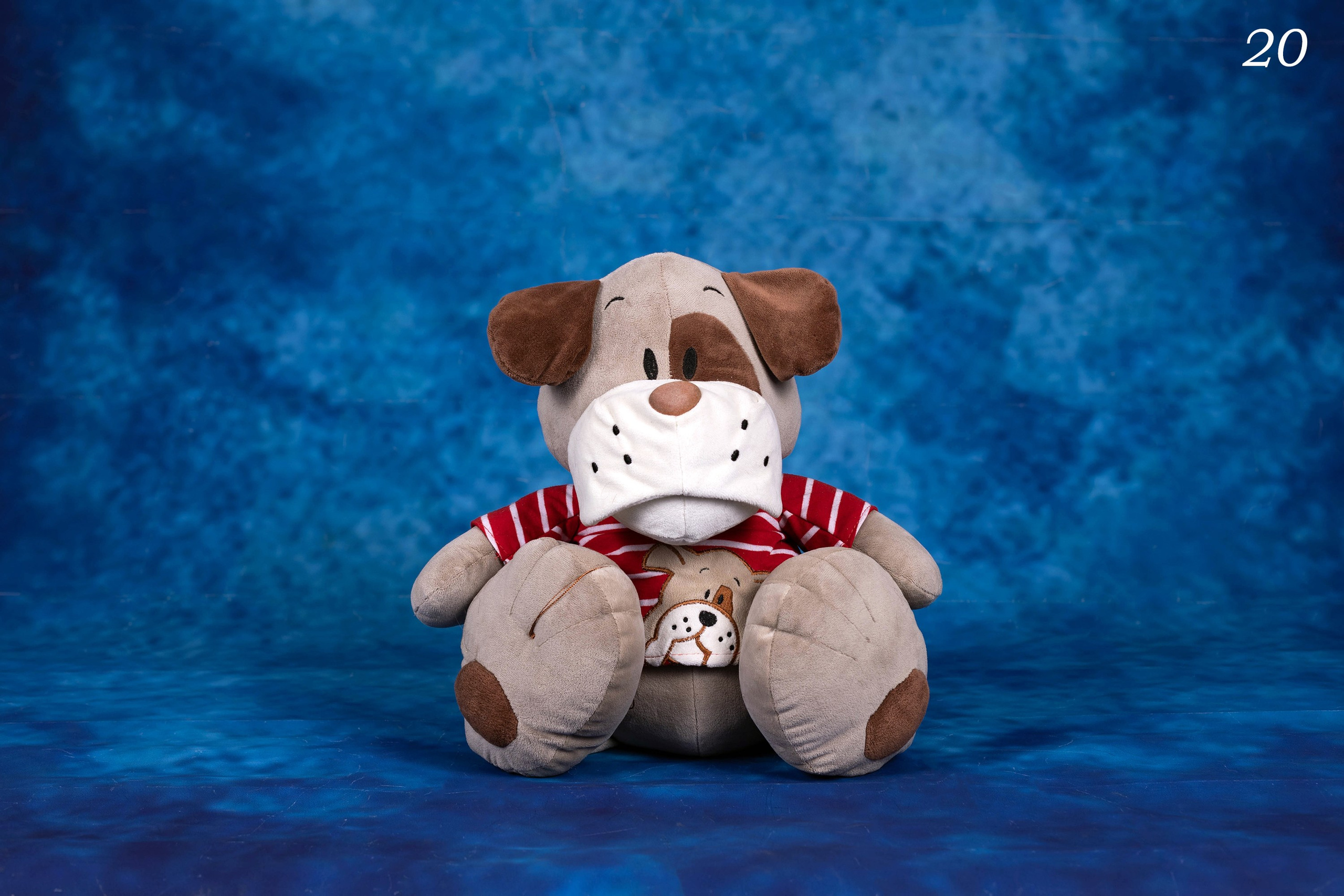 Фоны. Фотограф-анималист в Омске Екатерина Маричева