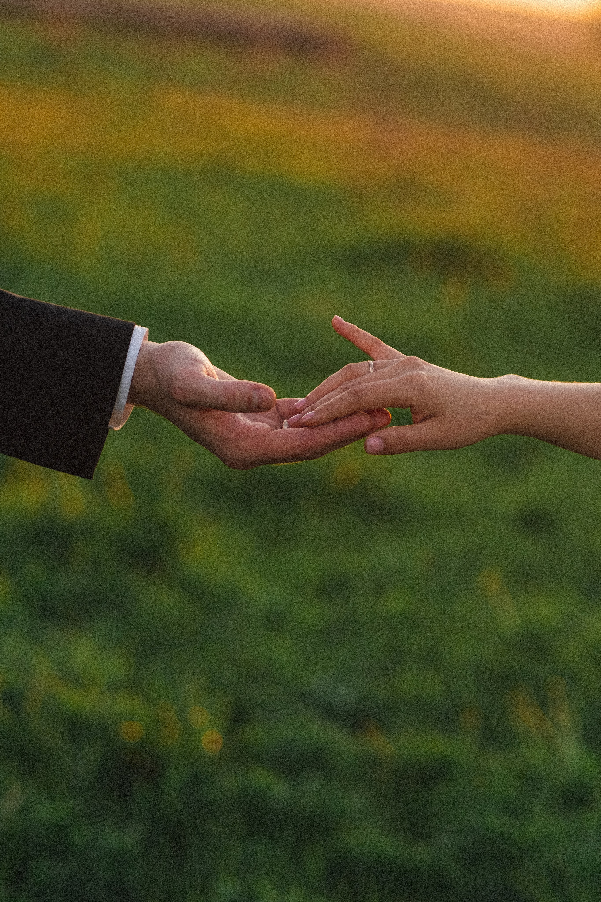 Портфолио. Фотограф в Санкт-Петербурге