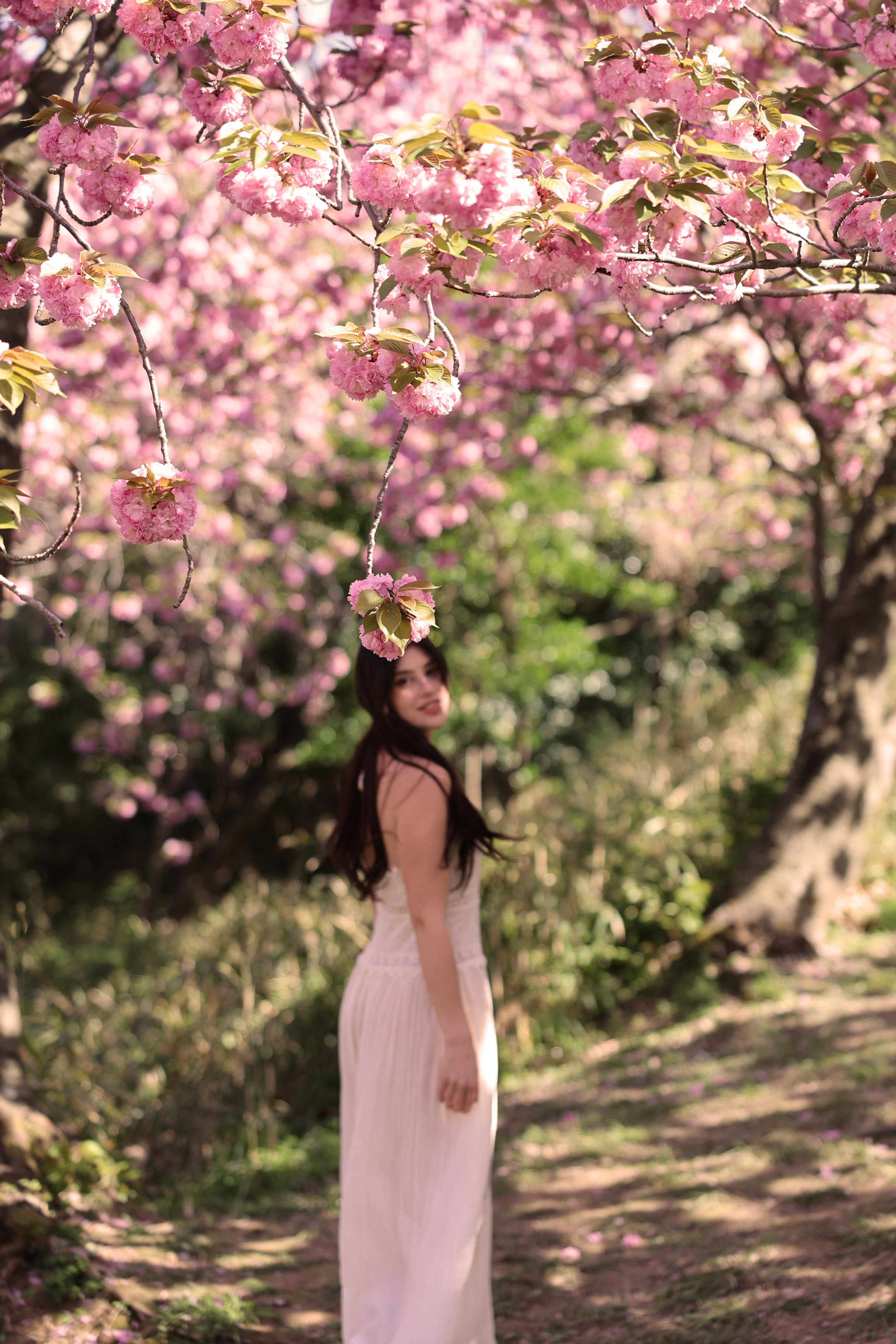 Busan Photographer. Photographer in Busan | Royal Cherry Blossom Solo Photoshoot