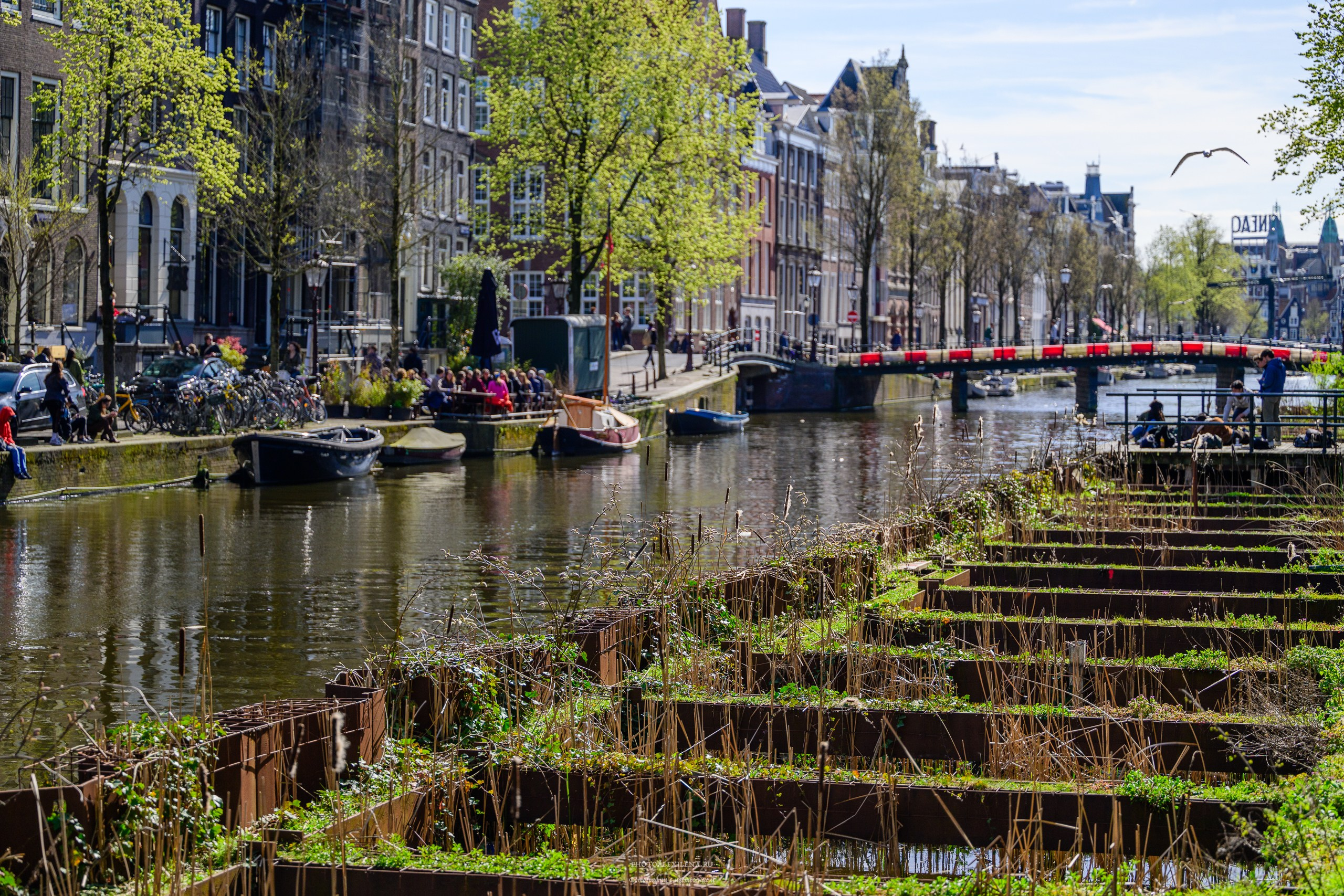 И это всё о нём. Авторские стильные фотокартины