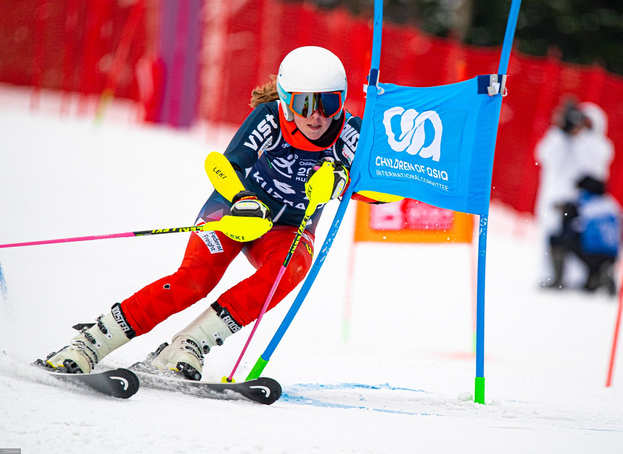 Параллельный слалом. ProfotoNK