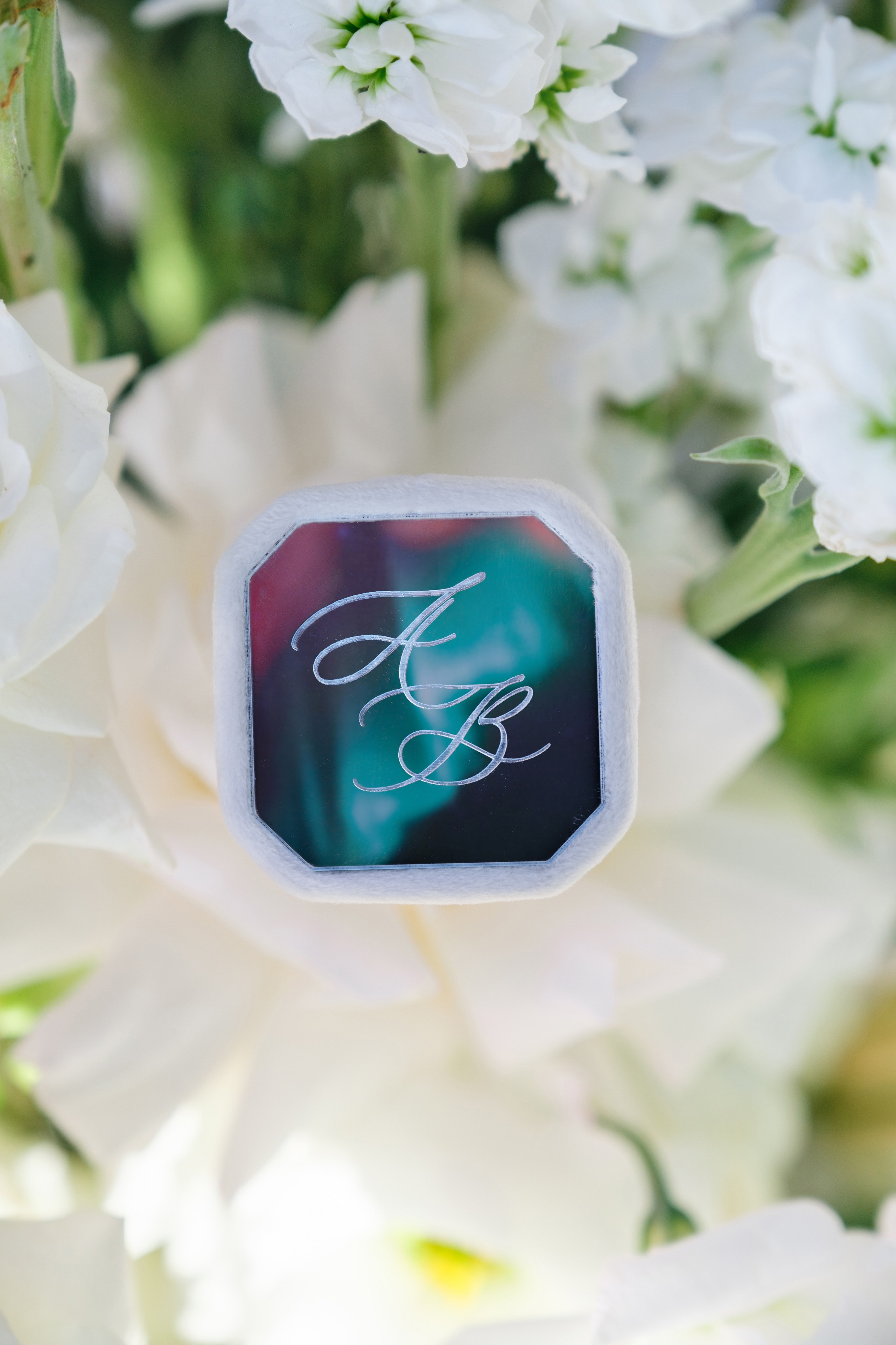 Сияние. Свадебный Видеограф Фотограф в Сочи