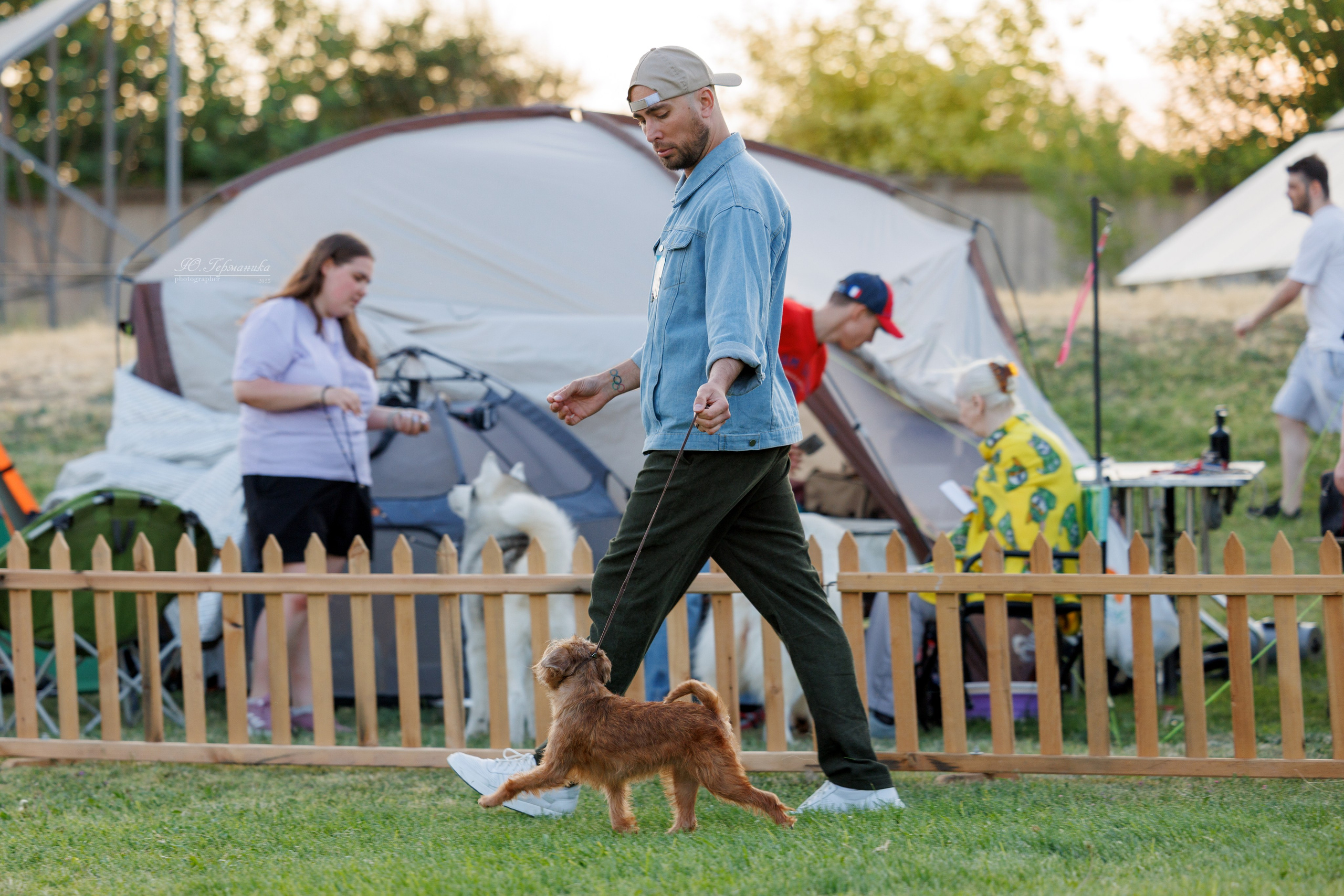 Ереван 3хCACIB 23-25.06.2025. Фотограф-анималист Юлия Германика