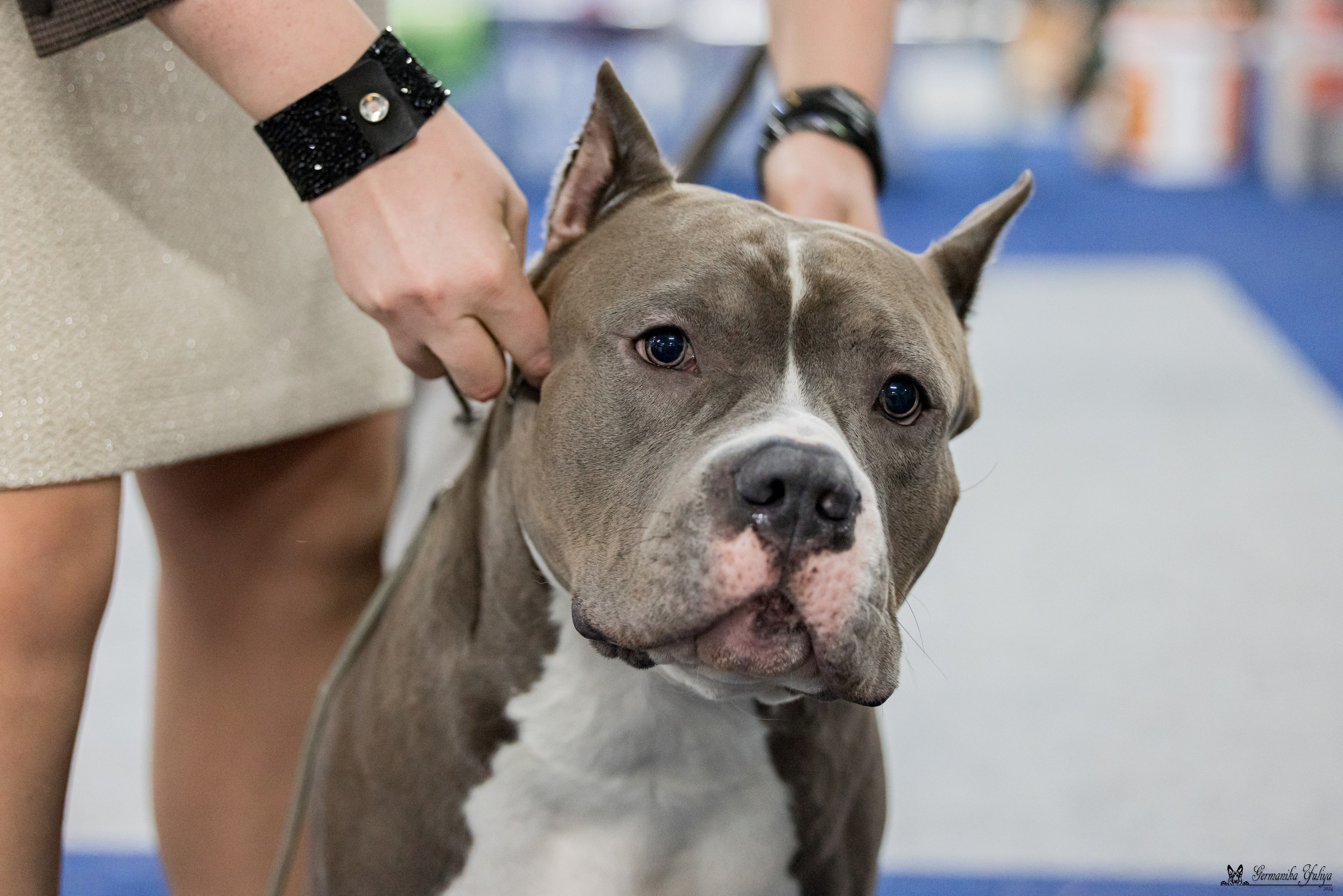 Сфера 28.01. и 4.02.2024. Фотограф-анималист Юлия Германика