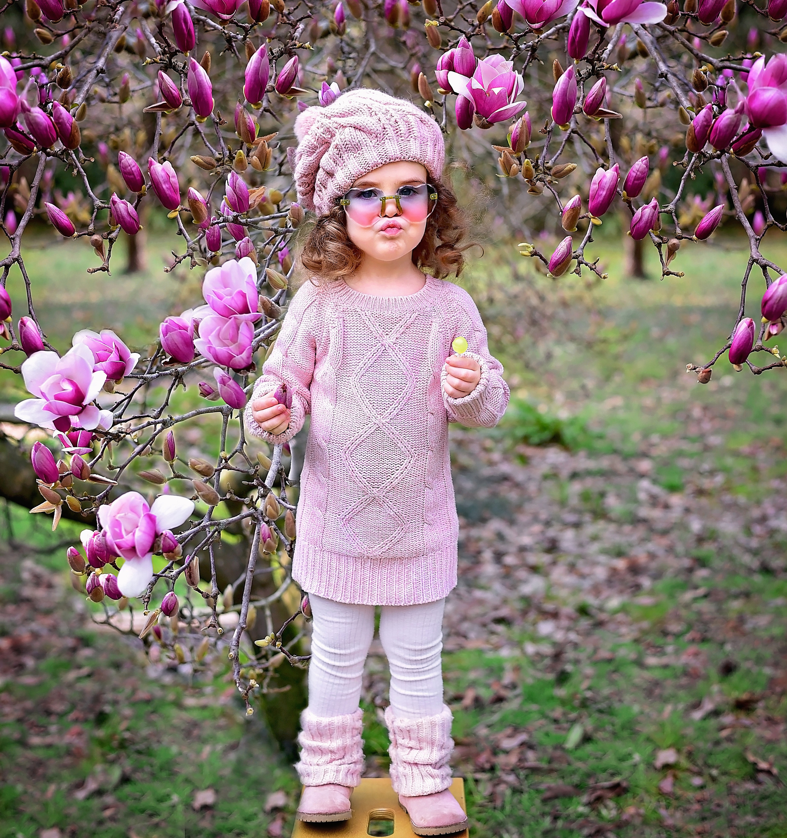 Магнолия. Главная