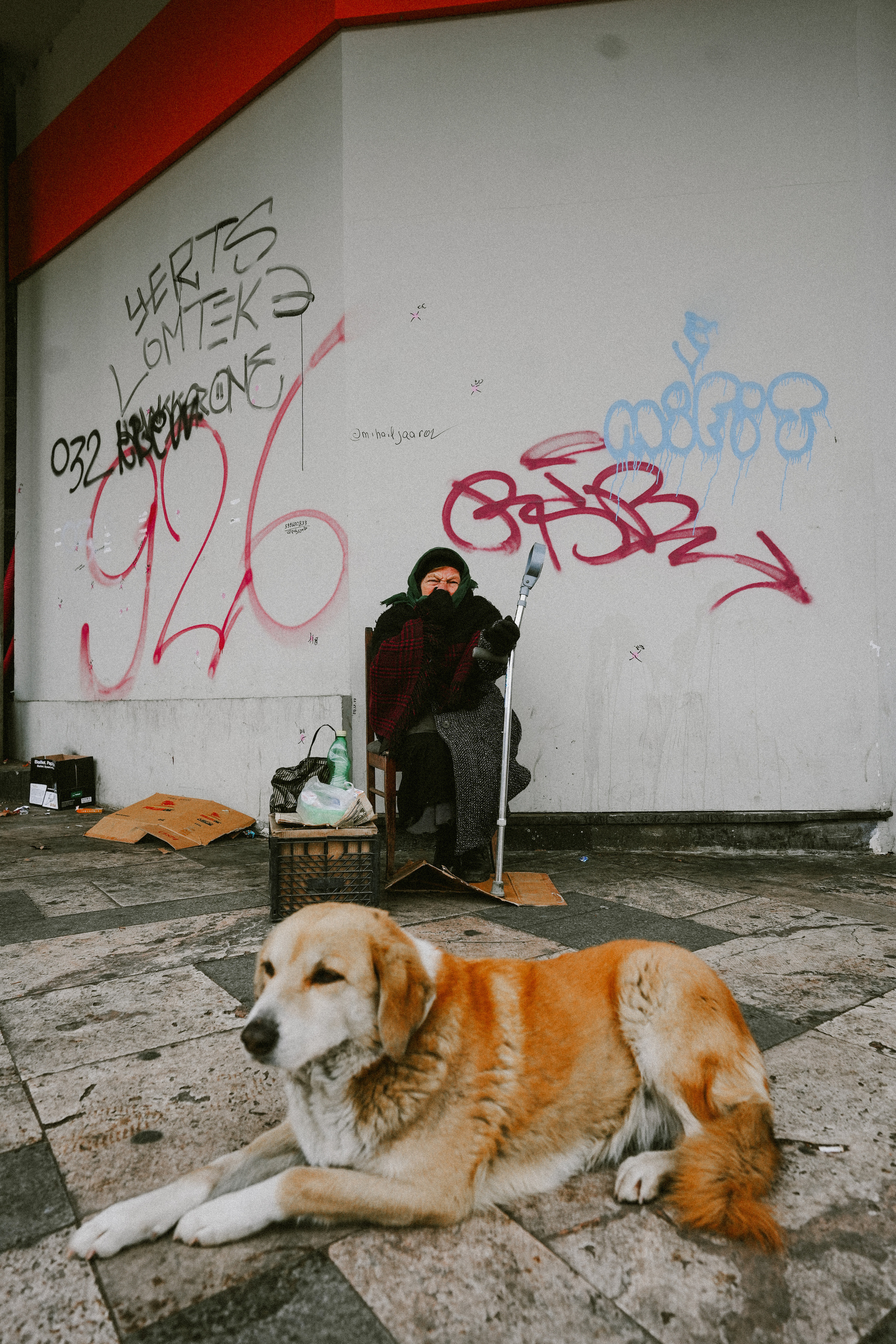 ТБИЛИСИ 2023-2024. Стрит-фотография, полная абсурда, идиотизма и красоты