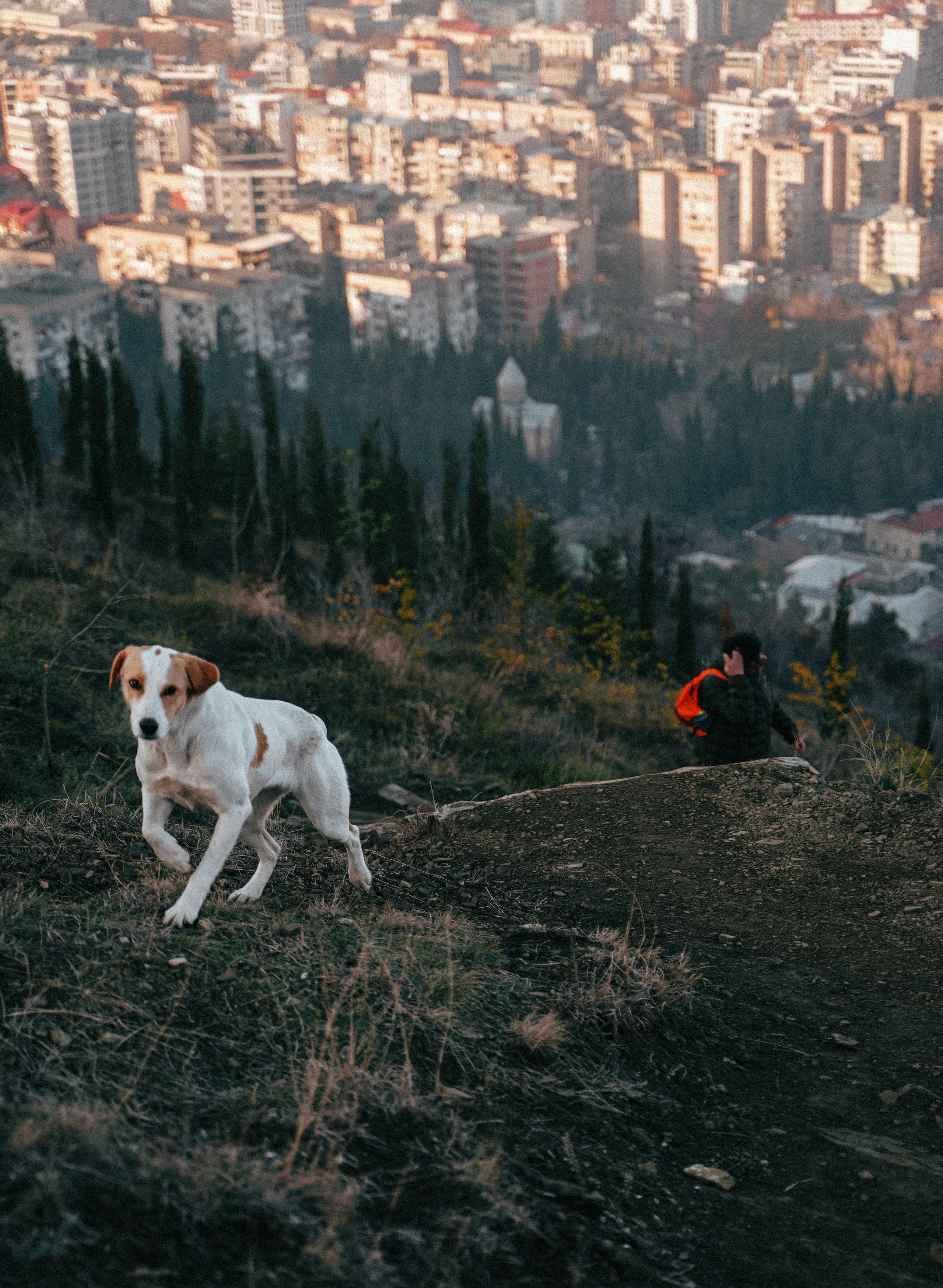 ТБИЛИСИ 2023-2024. Стрит-фотография, полная абсурда, идиотизма и красоты