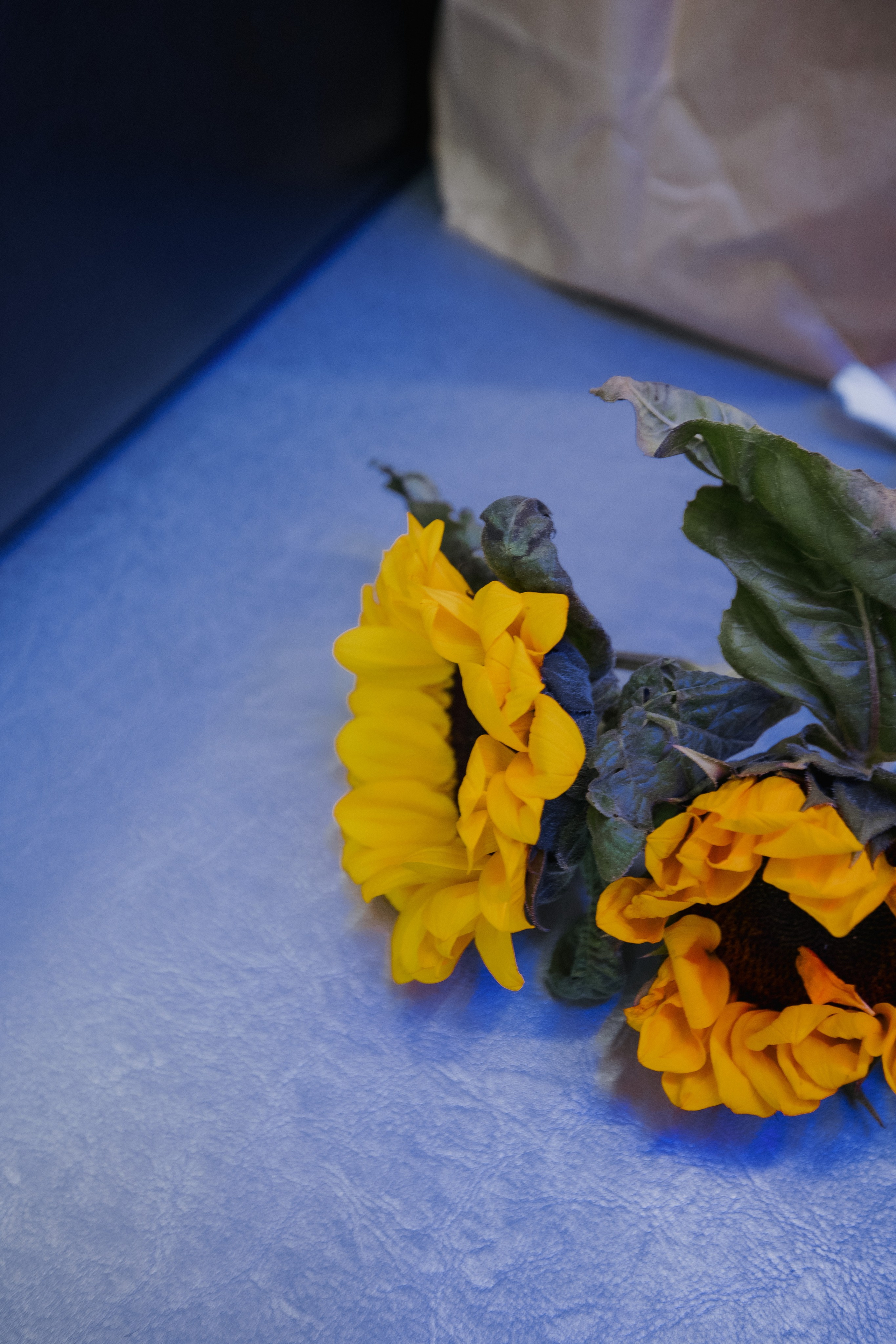 ФЭШН КОНФА. СВОИ. ФОТООТЧЕТЫ-СОБЫТИЯ-МЕСТА