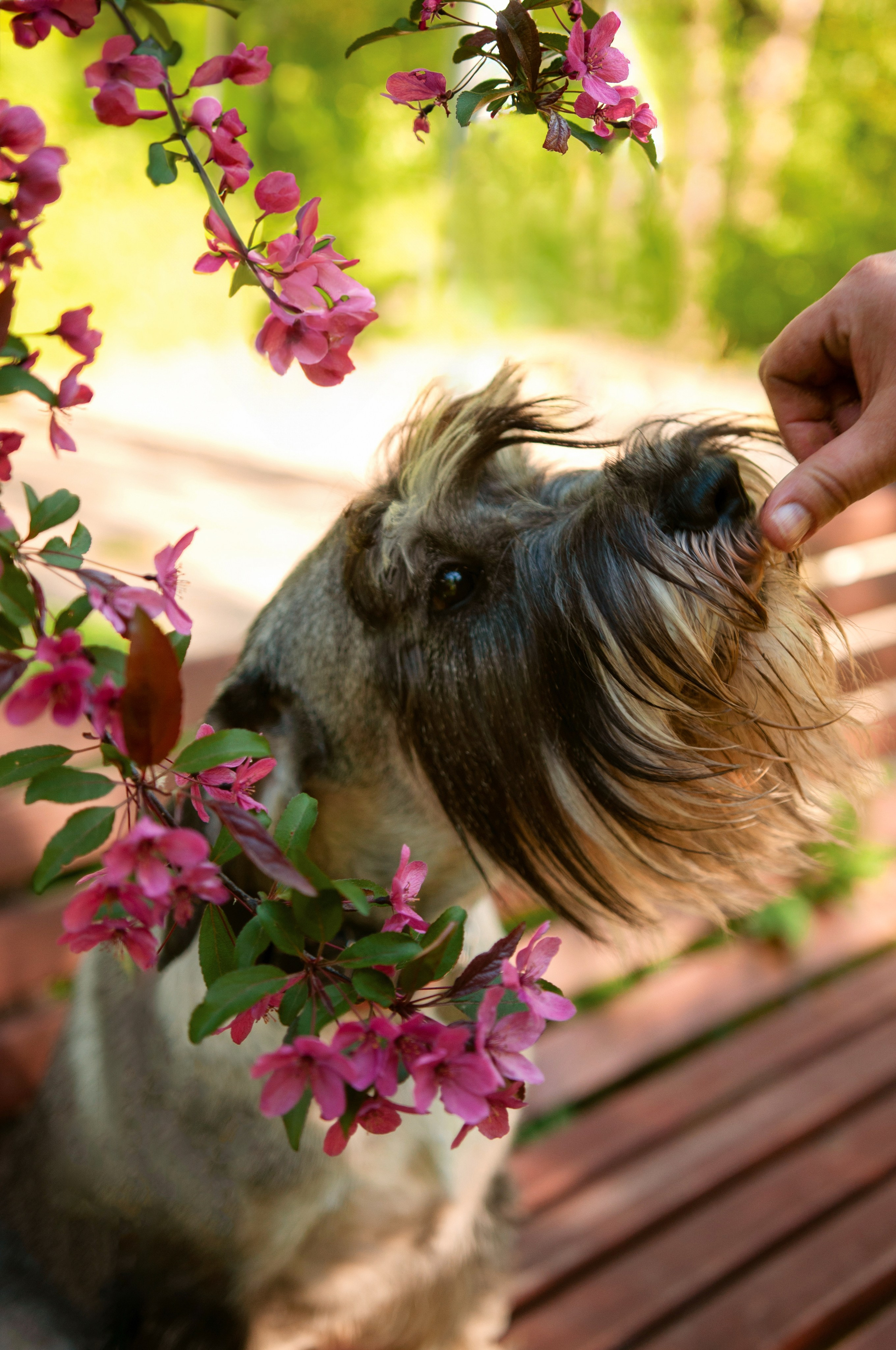 Катя и Дарио