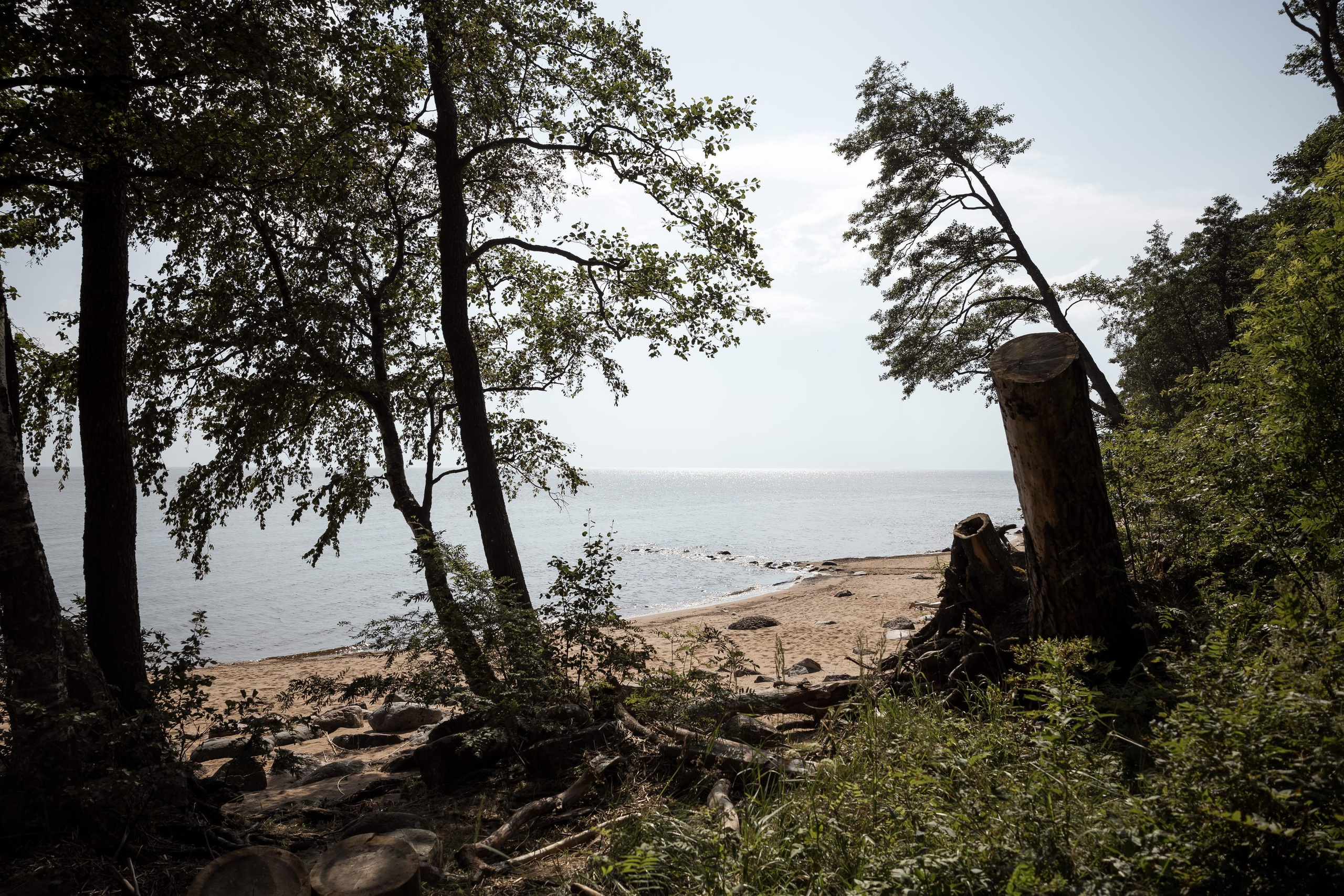 Свадьба на Финском заливе. Свадебный фотограф Игорь Брундасов 8PHOTO на свадьбу венчание загс СПб