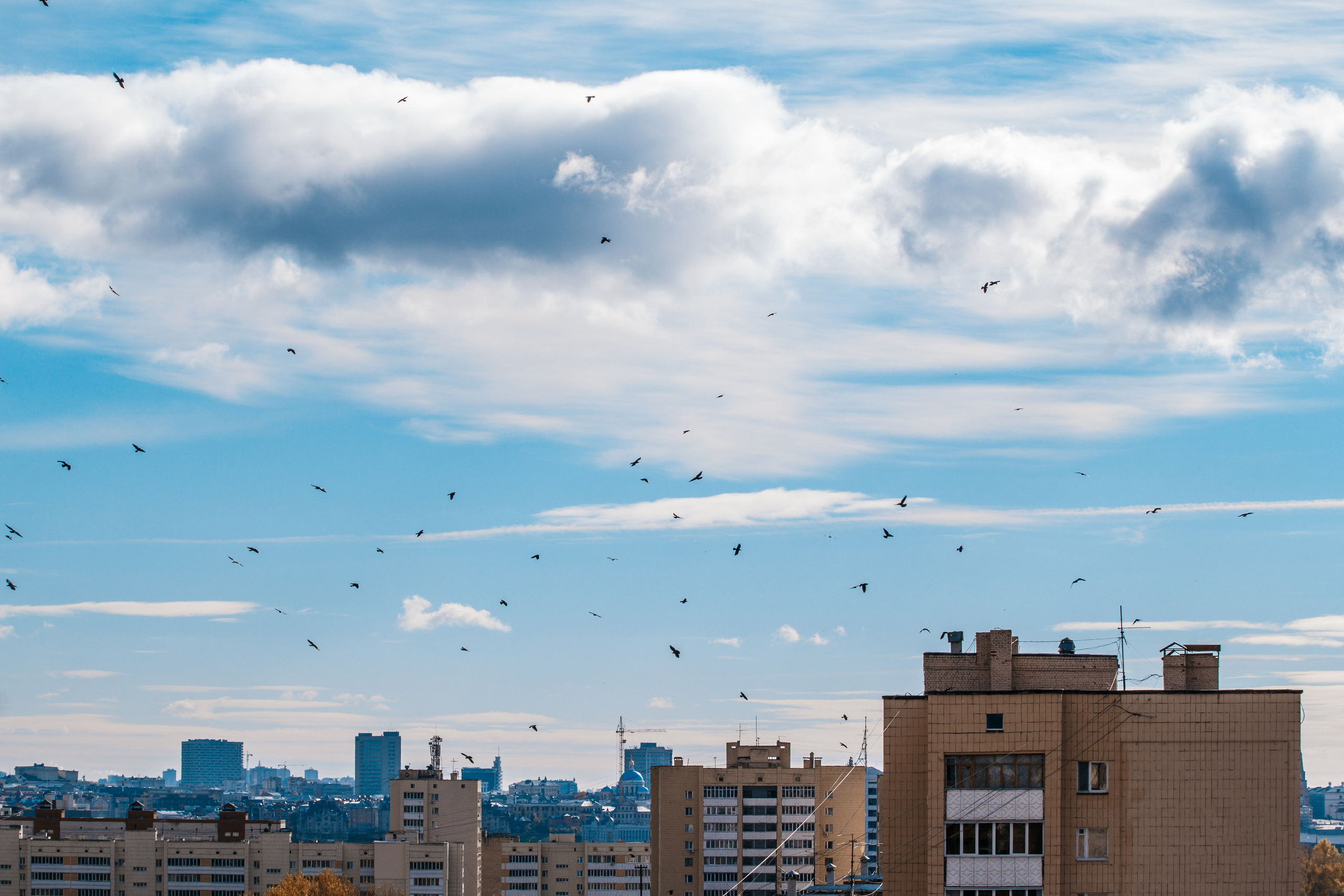 ЦВЕТНЫЕ ФОТОГРАФИИ. Никита Аничкин фото и видео оператор из России