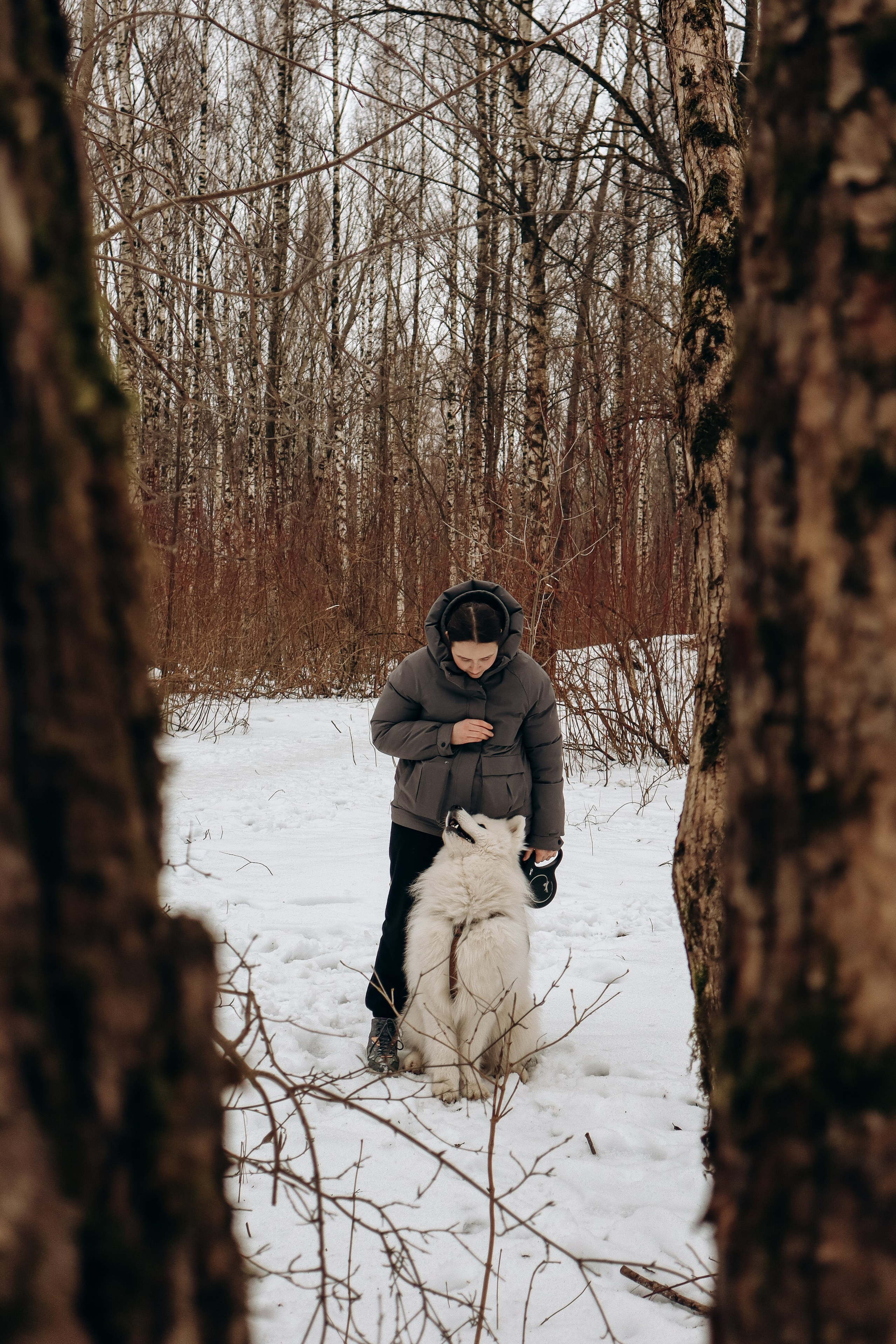 Даша и Локи. Фотограф-анималист в Санкт-Петербурге