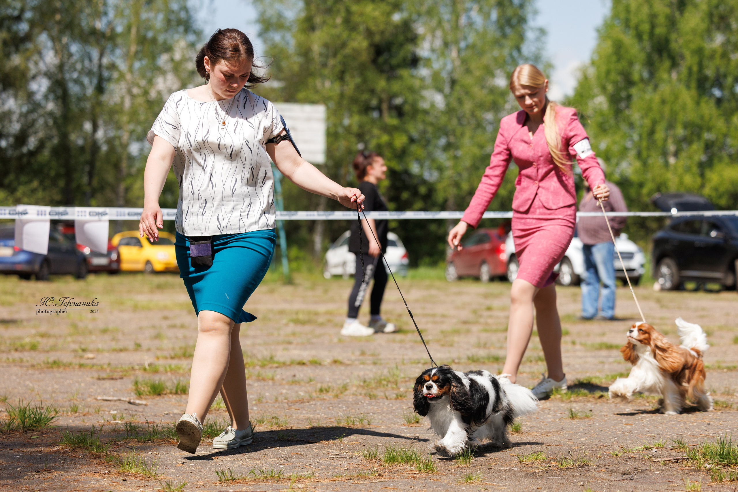 Тверь 24.05.2025. Фотограф-анималист Юлия Германика