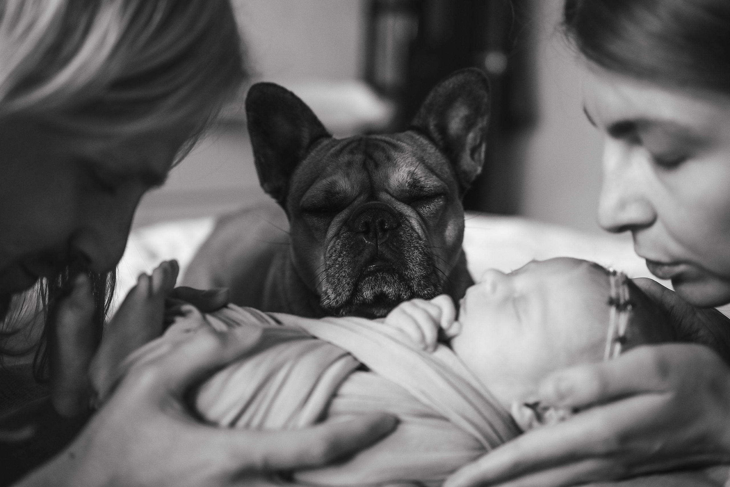 Новорожденные LIFE. Ньюборн и детский фотограф в Москве Шигина Марина