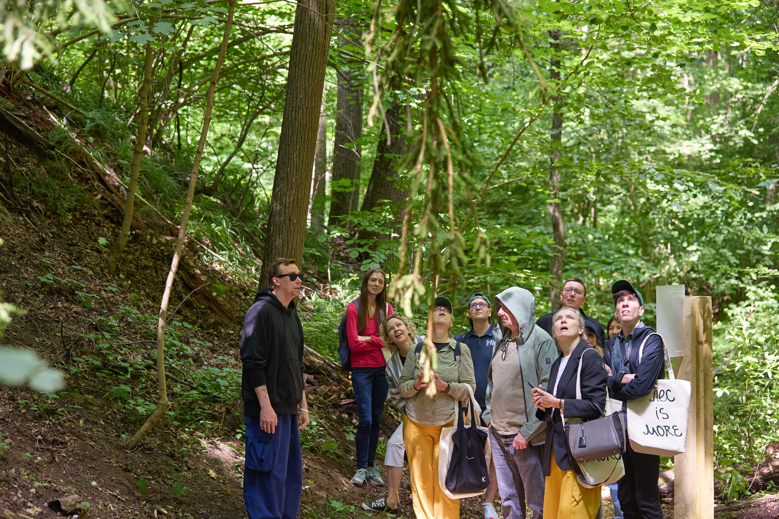 Les is More. Фотограф Иван Недорез