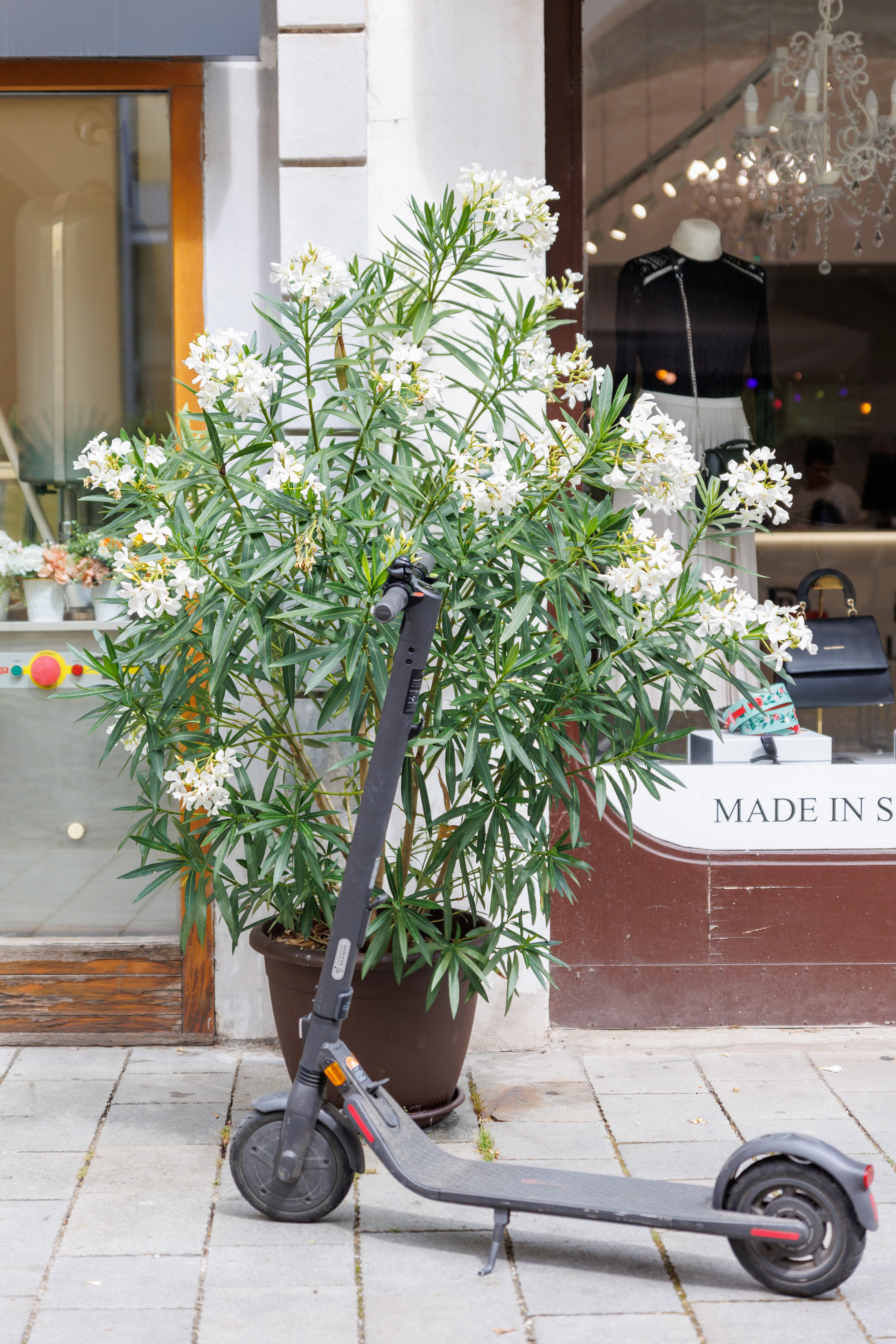 Centrum Bratislavy. Портретный и репортажный фотограф Марина Кузьмина