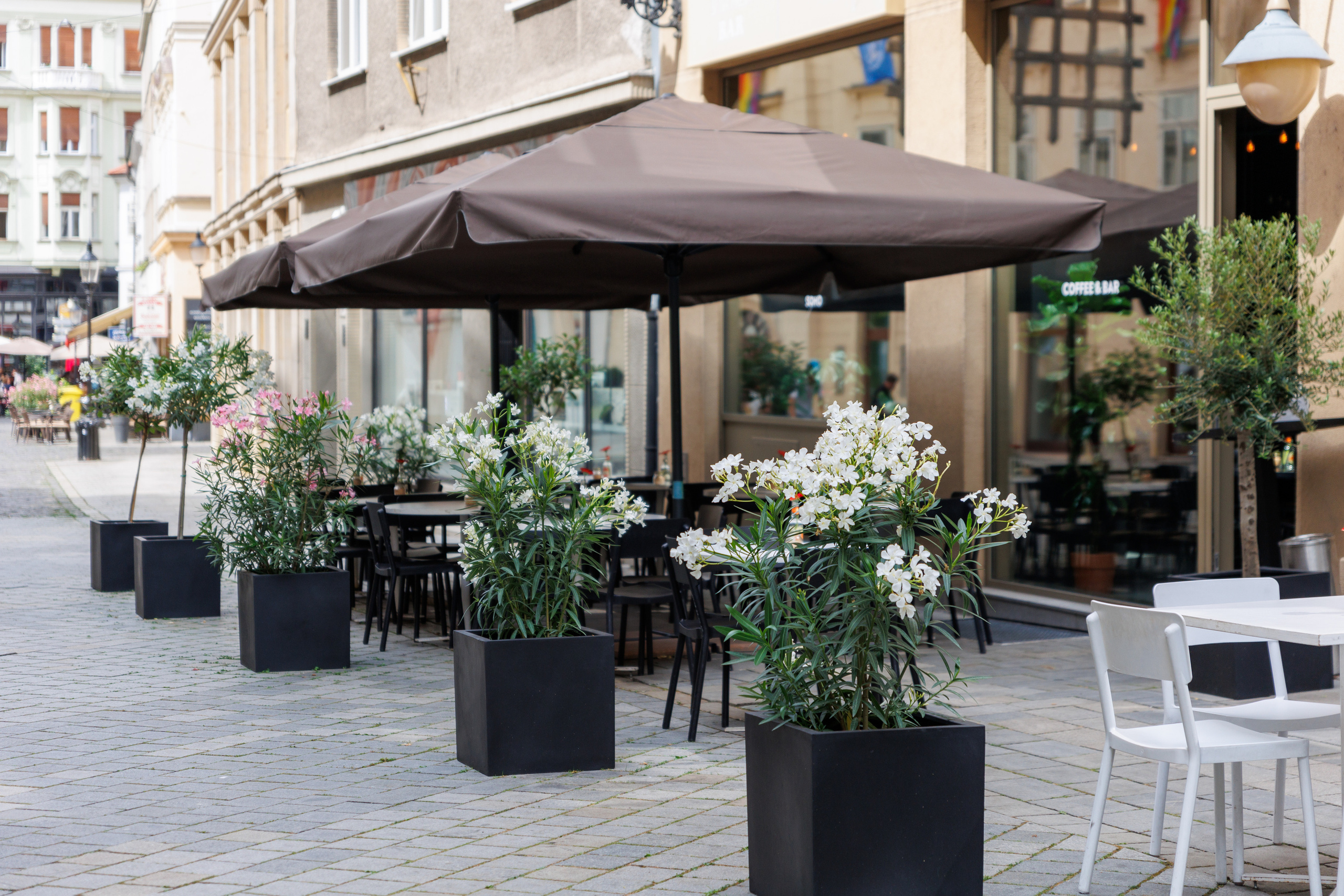 Centrum Bratislavy. Портретный и репортажный фотограф Марина Кузьмина